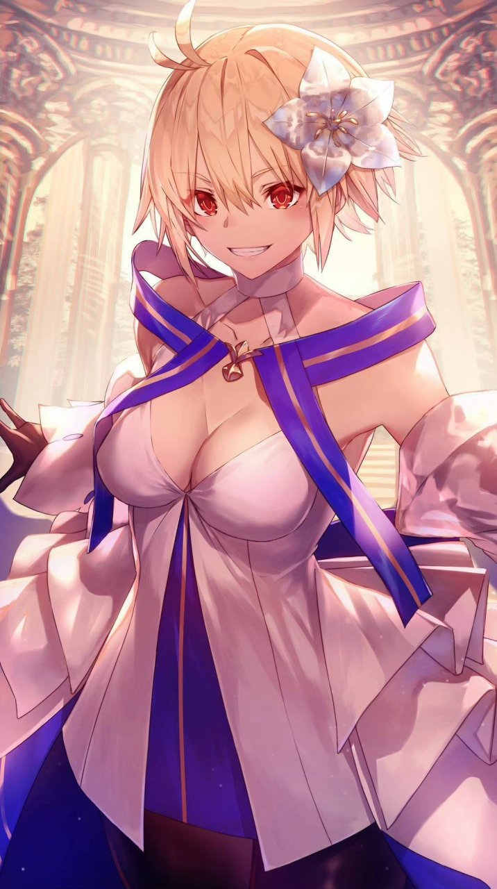 爱尔奎特·布伦史塔德——fate/grandorder×月姬——画师:中西 達哉