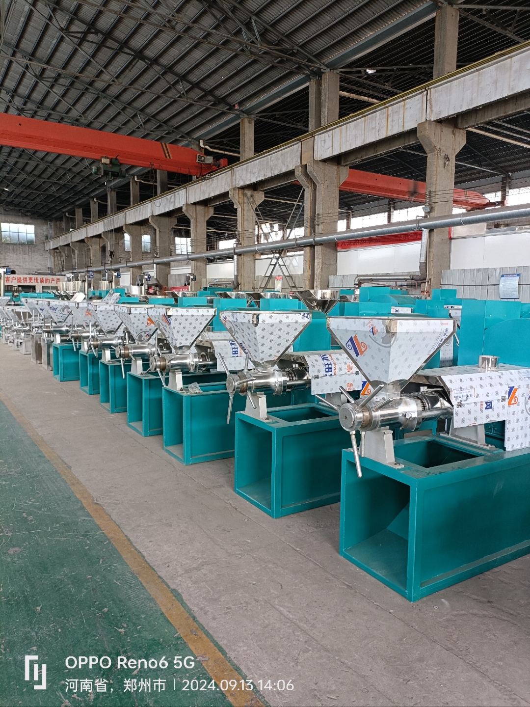 油茶果螺旋榨油机 芝麻香油机 冷热两用螺旋榨油机 现榨不粉碎茶籽