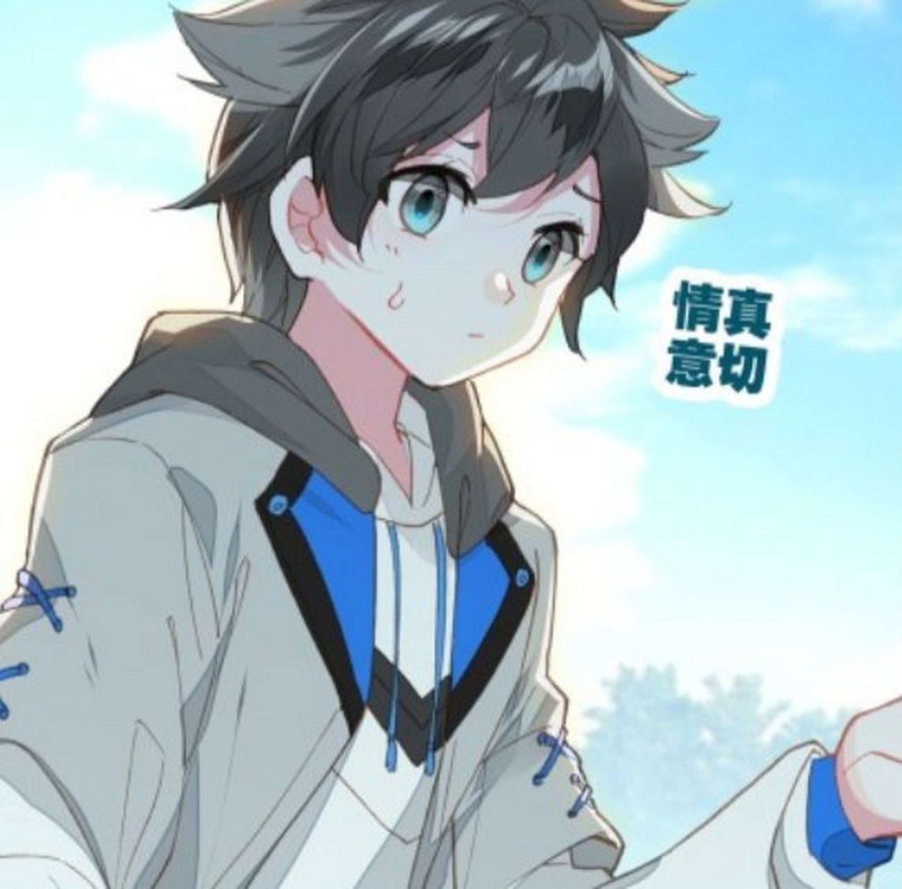 蓝轩宇表情包集合