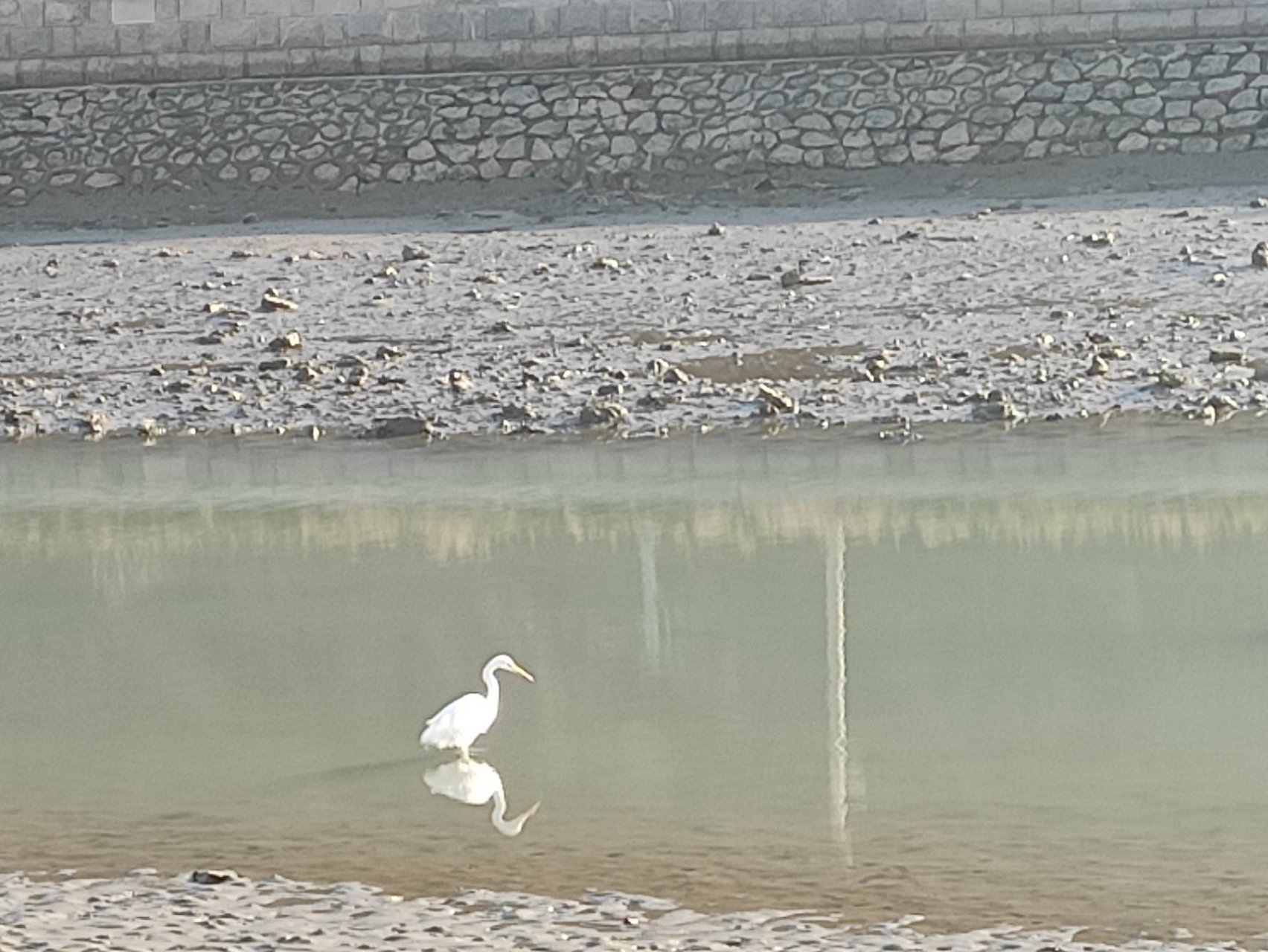 昨晚看了一部电影《狮女传奇》,谈谈感想: 剧中女孩伊娃生下来就全身