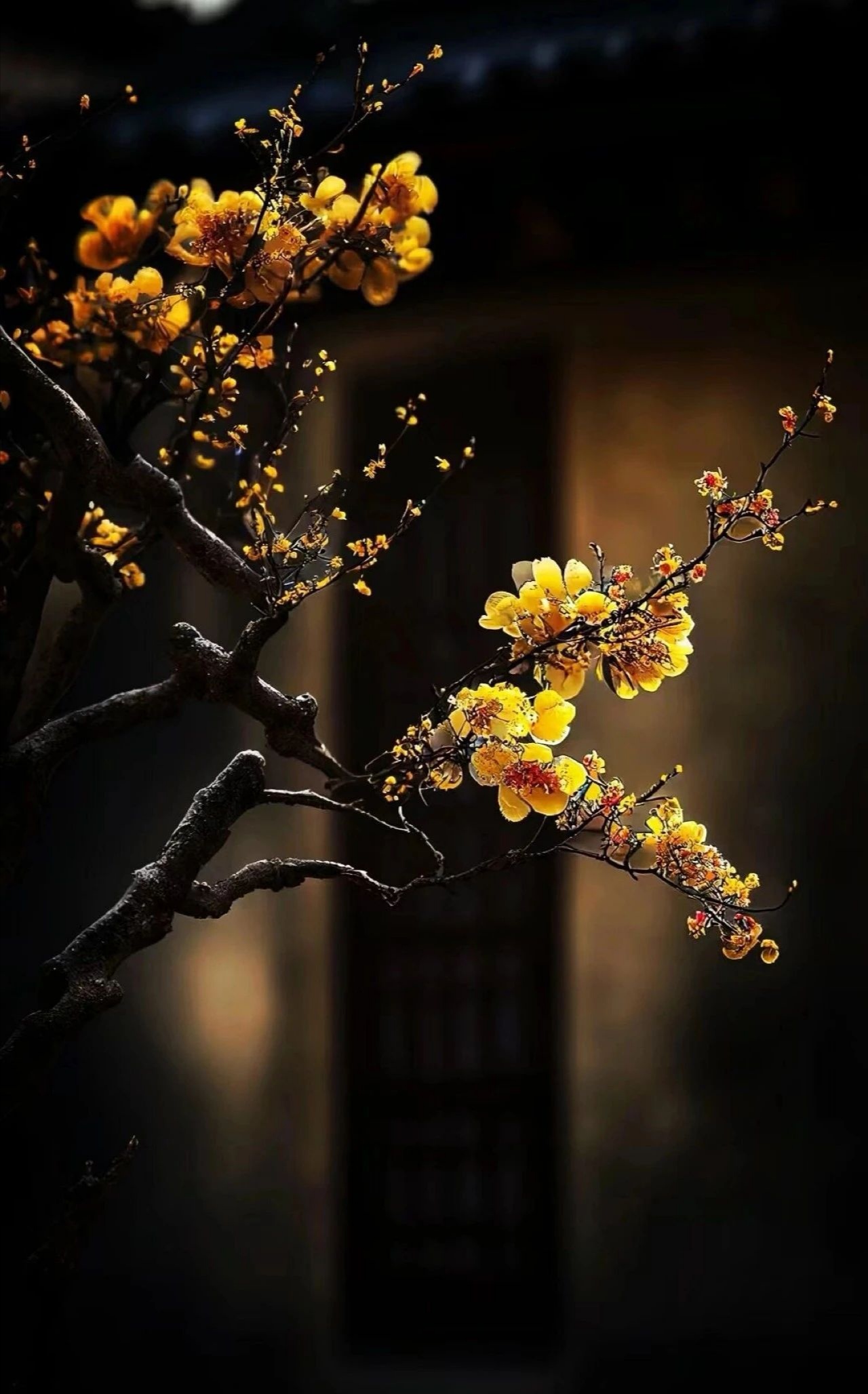 人生苦短 世事无常 不必事事都在乎 更无需处处都计较 人这一辈子最多