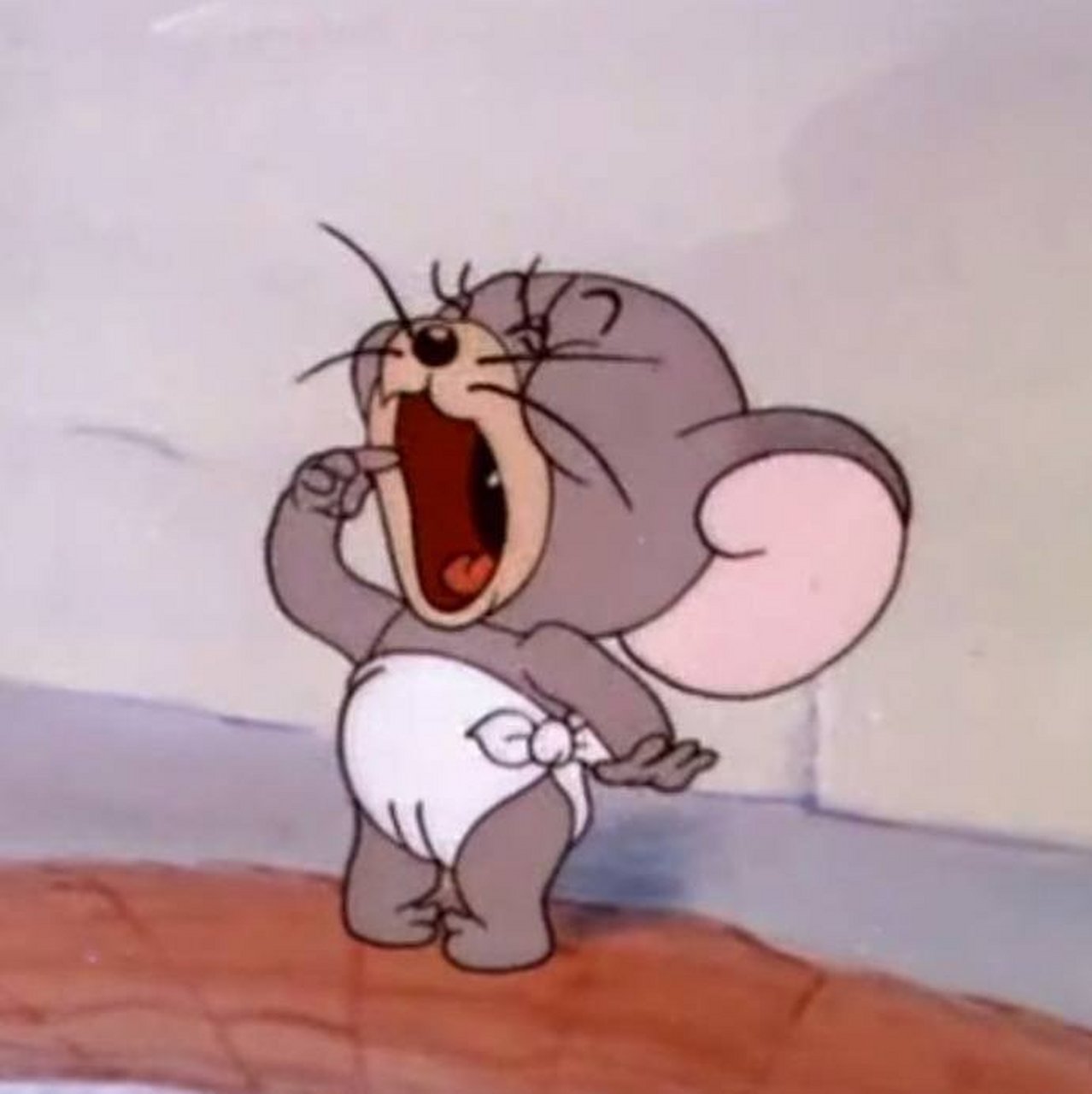 小泰菲换头像啦!大家觉得怎么样