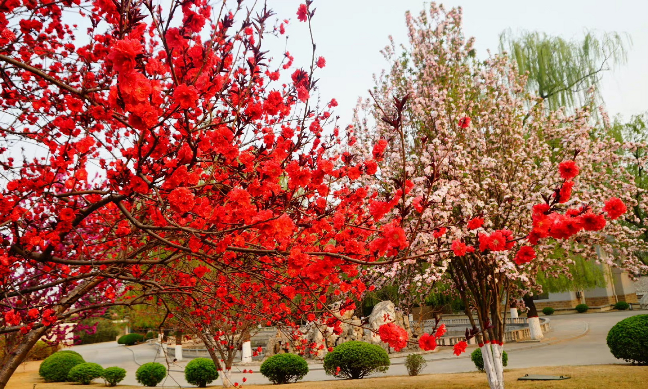 一起学英语 一日一语 dont flatter yourself别自作多情.