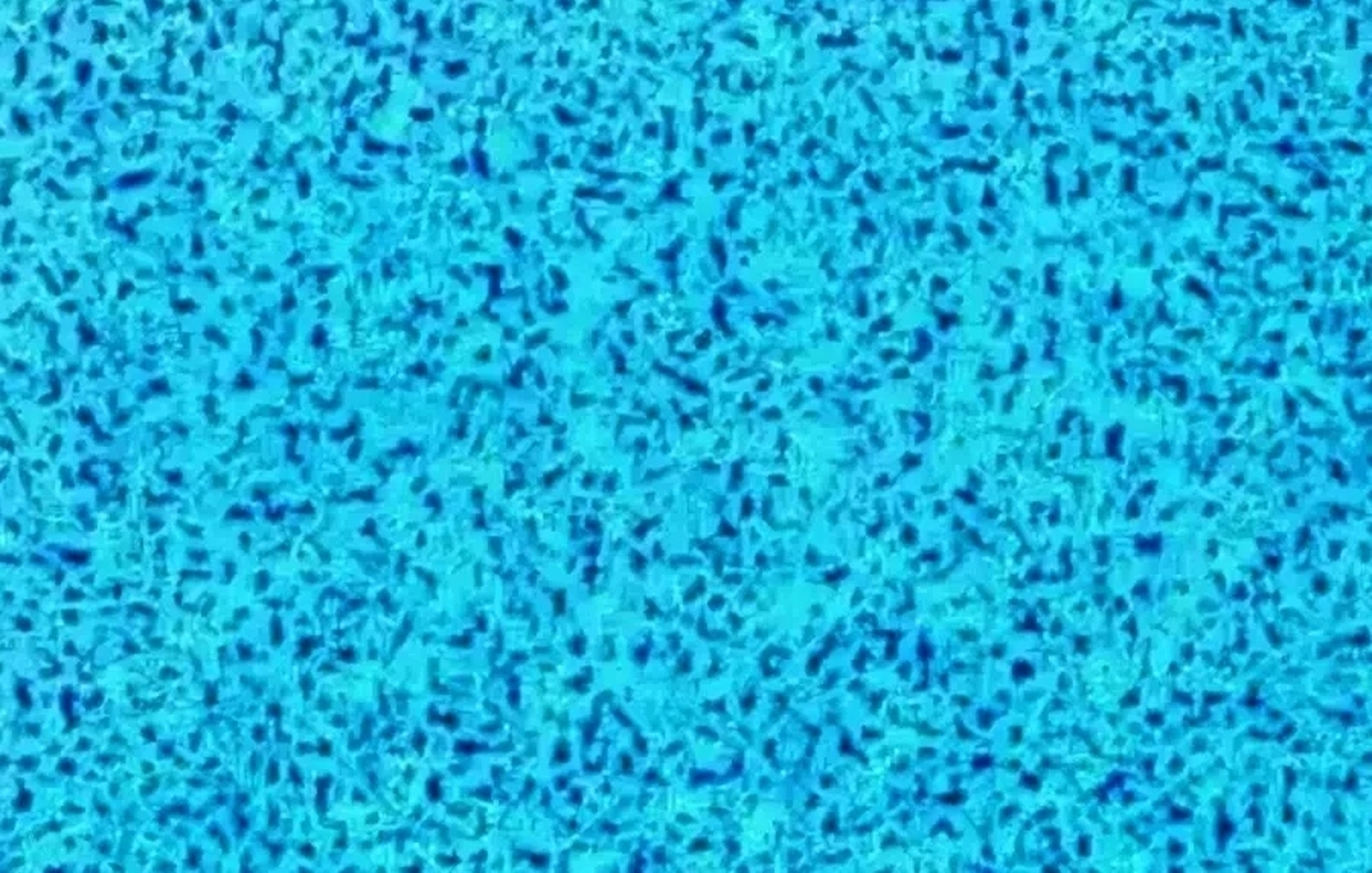 据说这是飞行员的色盲色弱测试图,这也太难了吧,看了半天才看到好像是