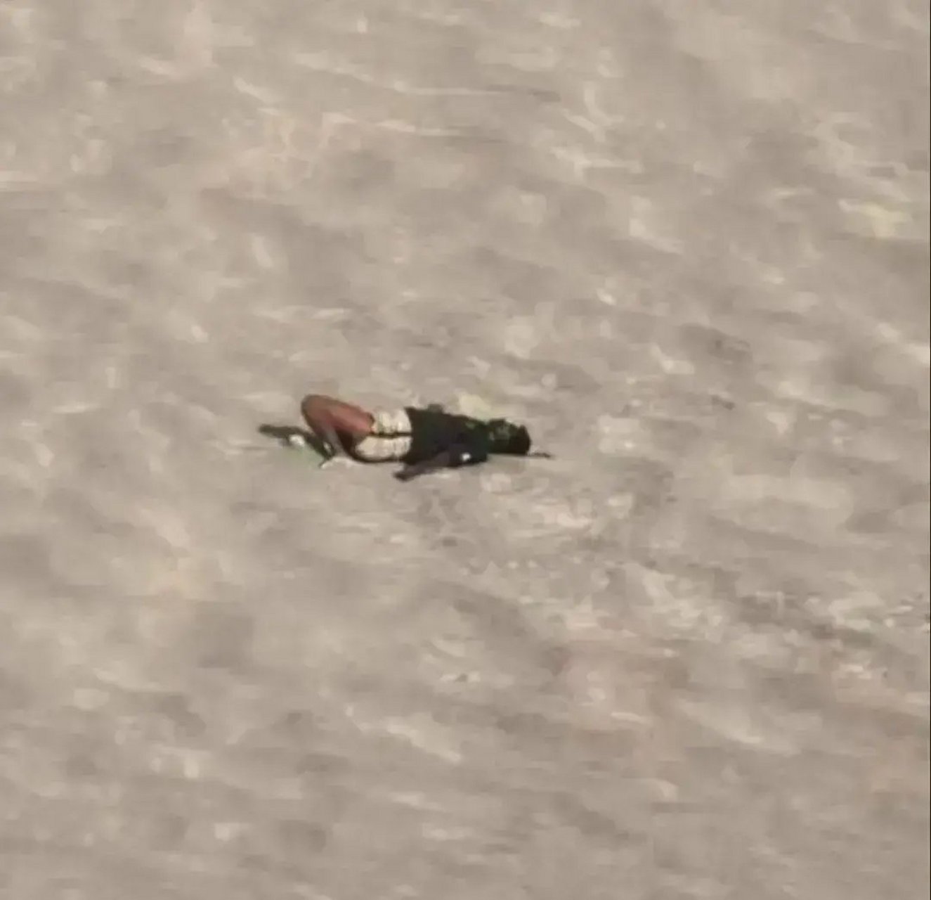 现场照片显示了人脱水后的状态,黑化加上碳化!