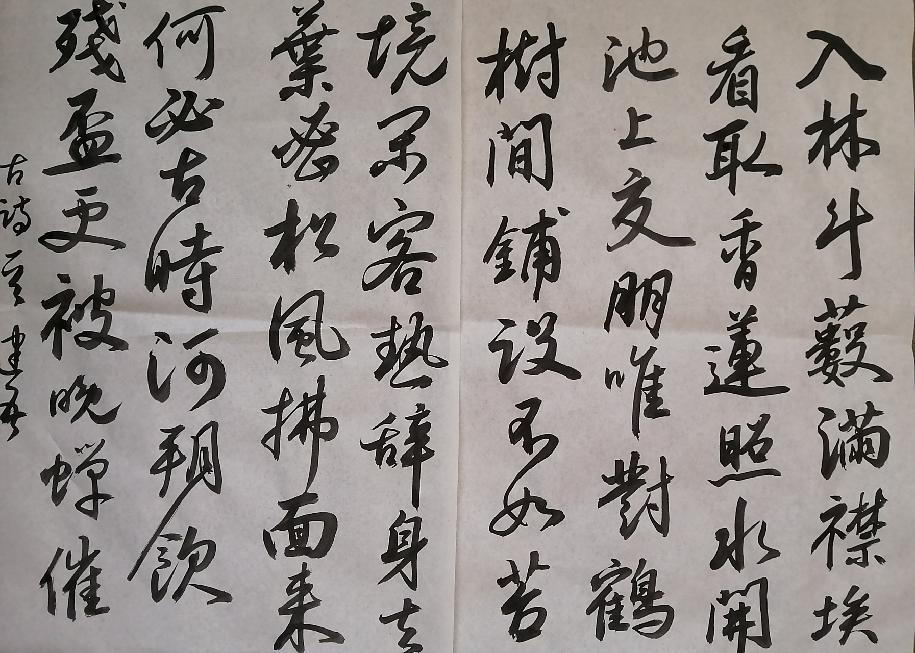 平凉赵显书法作品