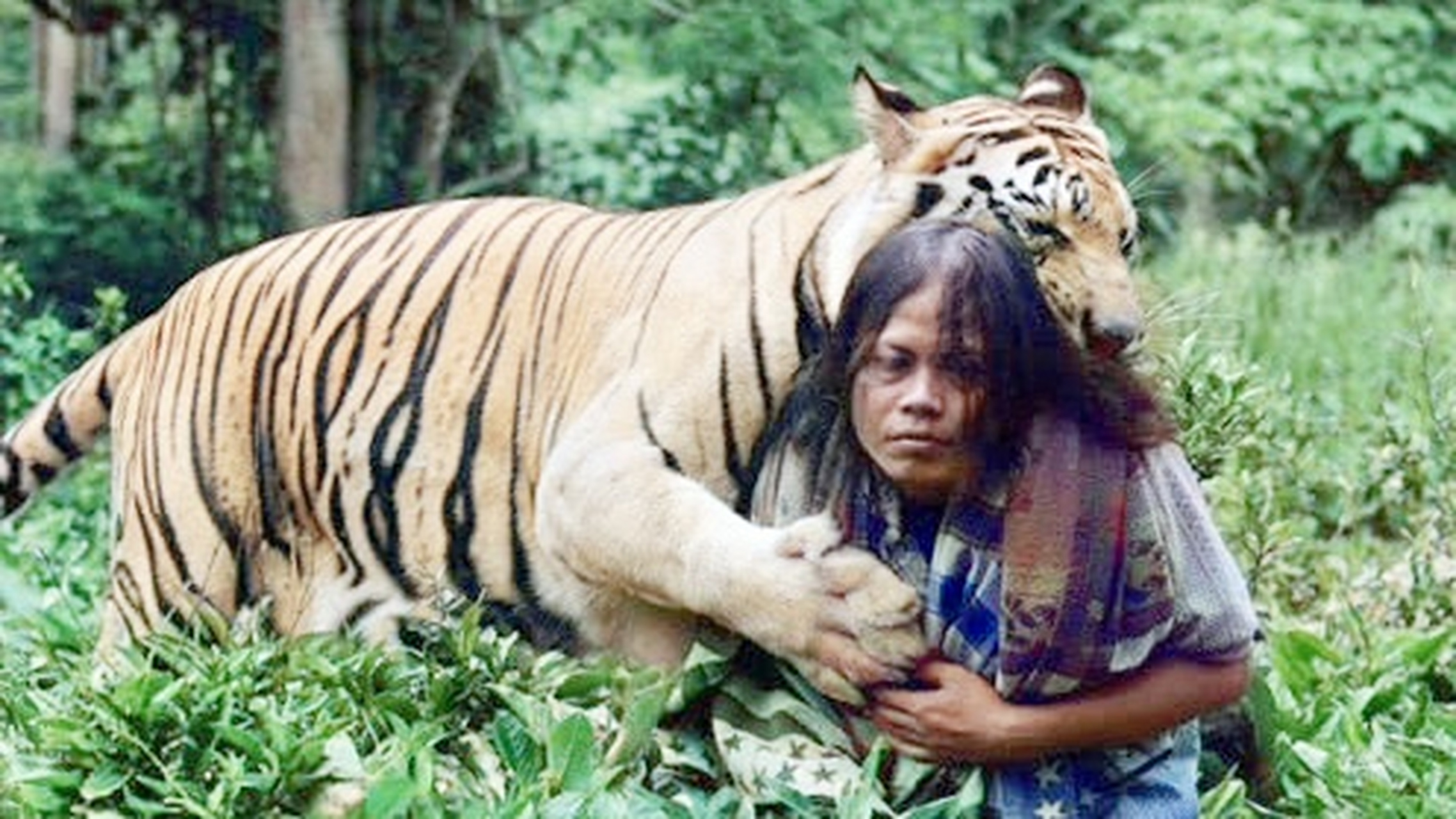 四个小故事告诉你,什么才是真正的伴君如伴虎!