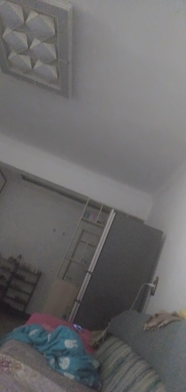 俩个侄子都是属狗的,卢世豪和卢世贺