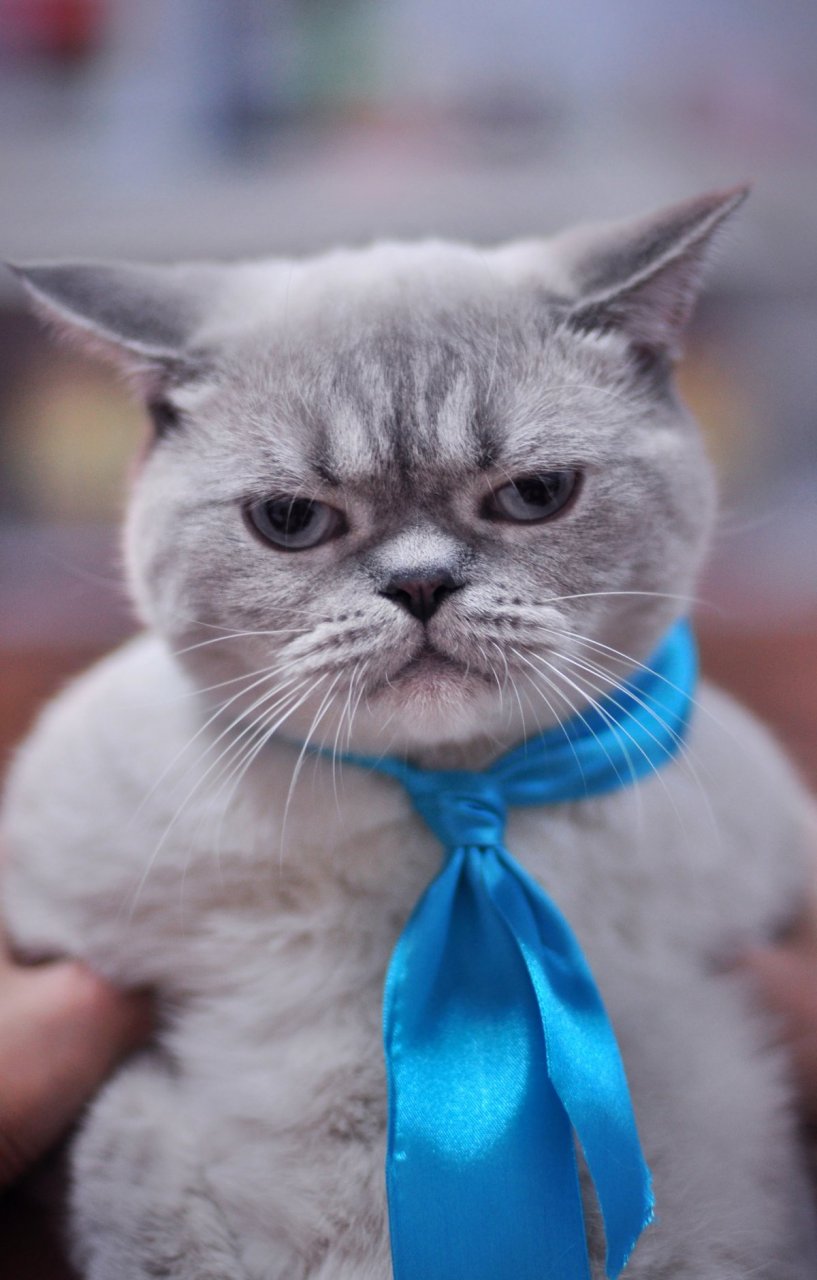 817_1280竖版 竖屏