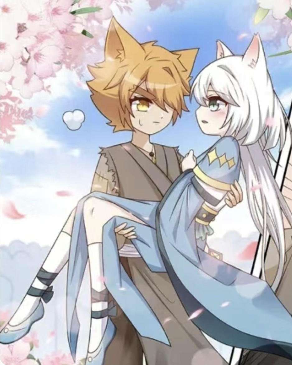 最近有人说想要猫小九,我就给大家带来了猫小九和白灵.