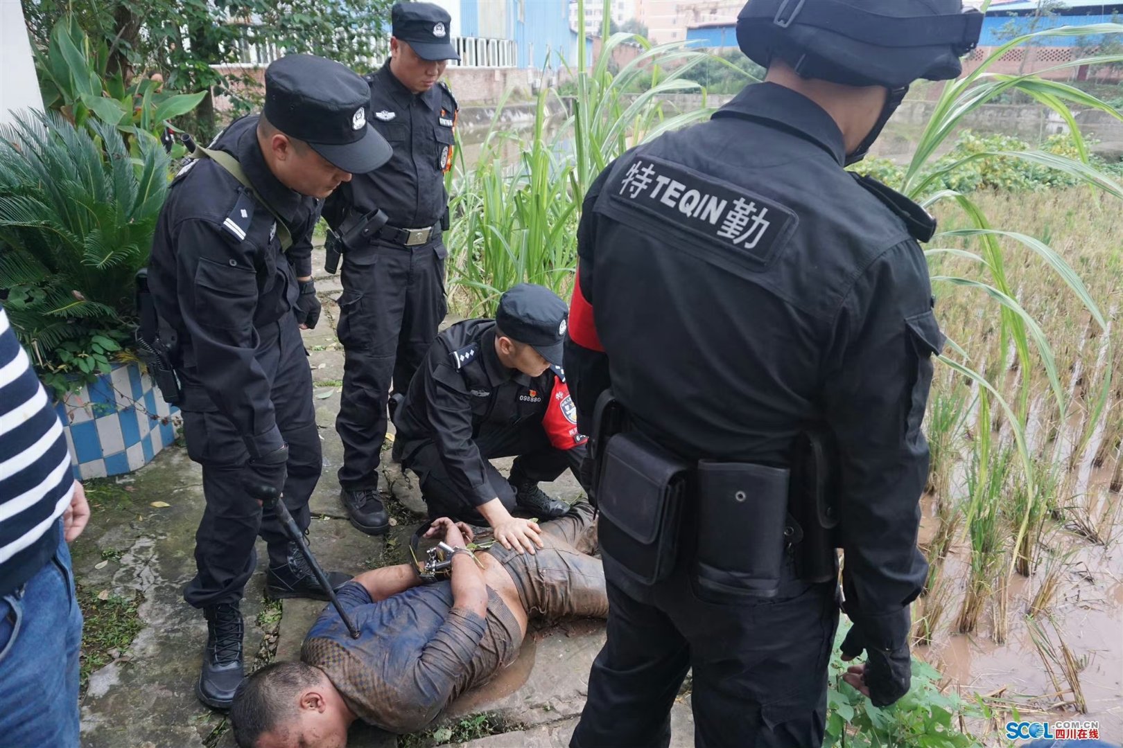 警察抓捕犯人图片图片