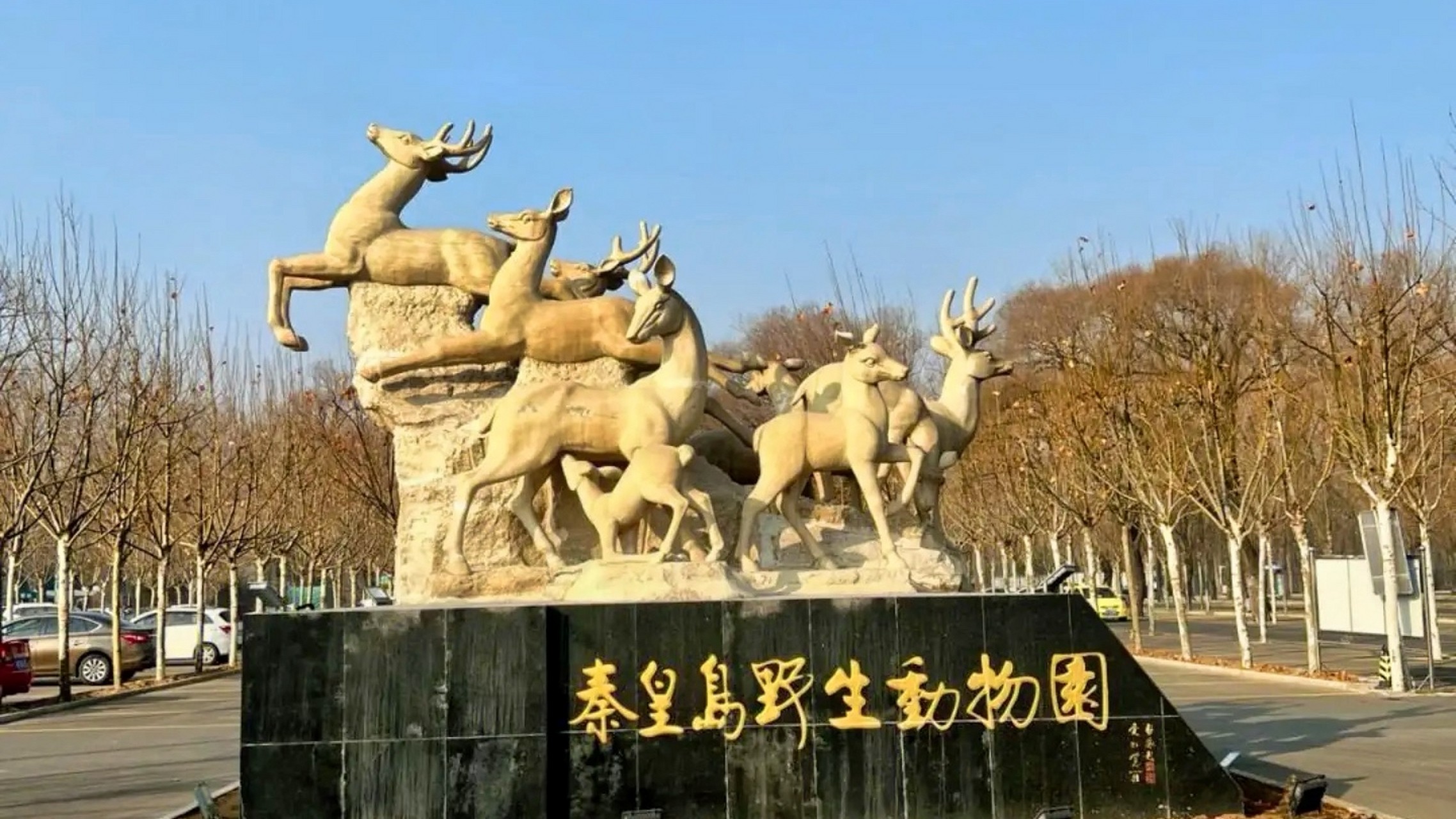 必去的夏日出游目的地#秦皇岛野生动物园,位于河北省秦皇岛北戴风景