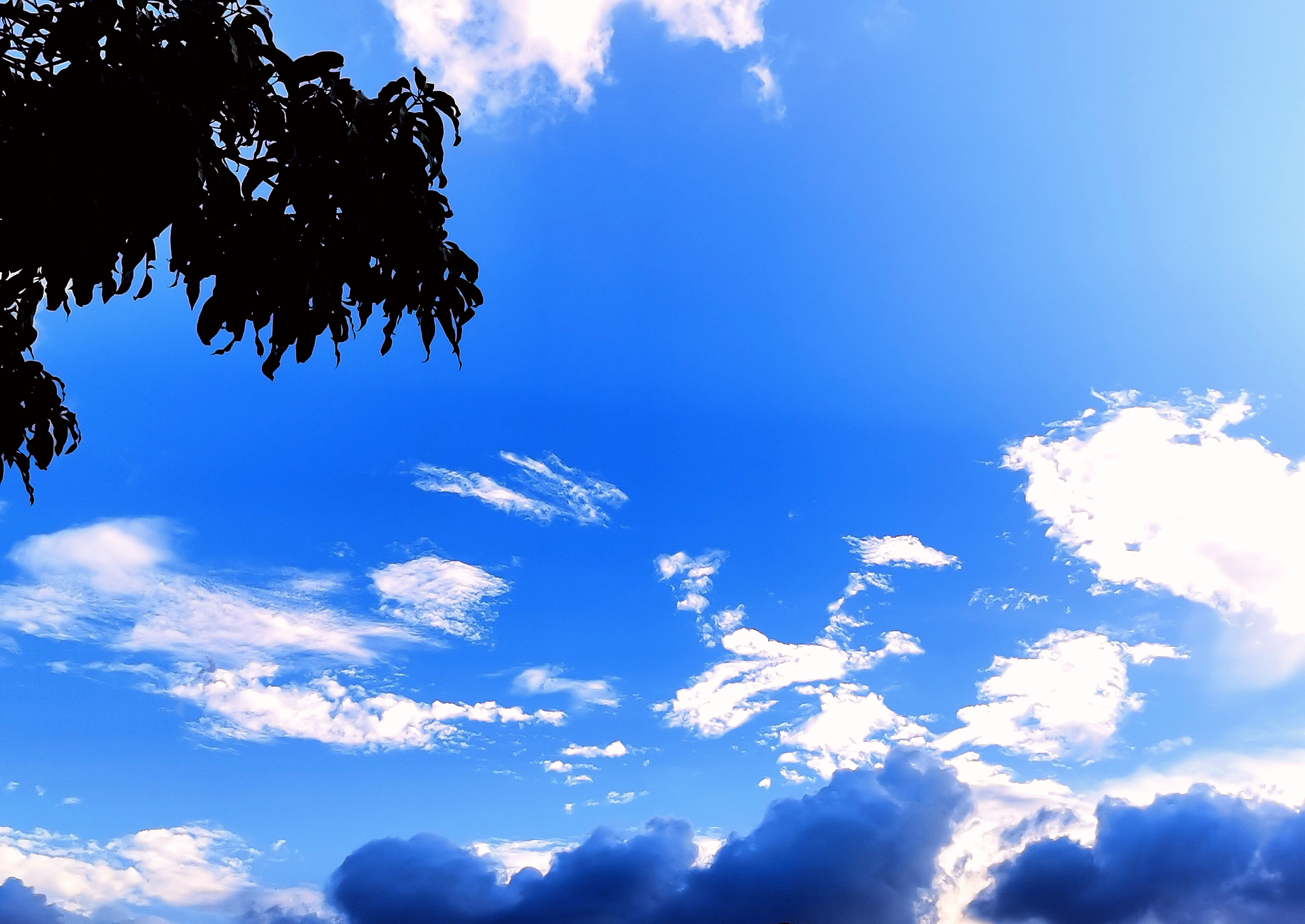 珠海傍晚7:30后的夏天,城市的天空依旧明亮,仿佛时间在这一刻放慢了