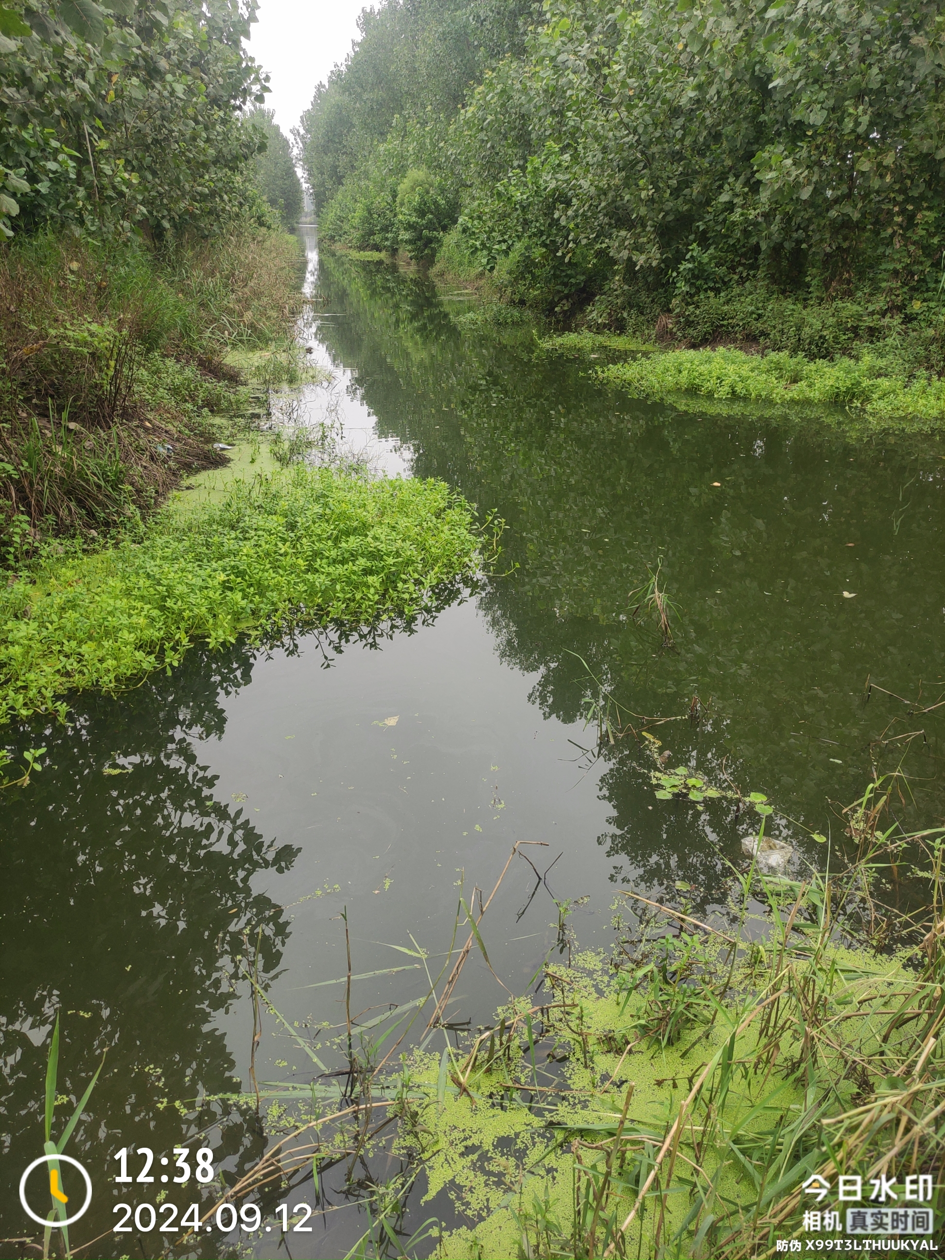 路遇一个不起眼的小水沟,小鲤鱼连连