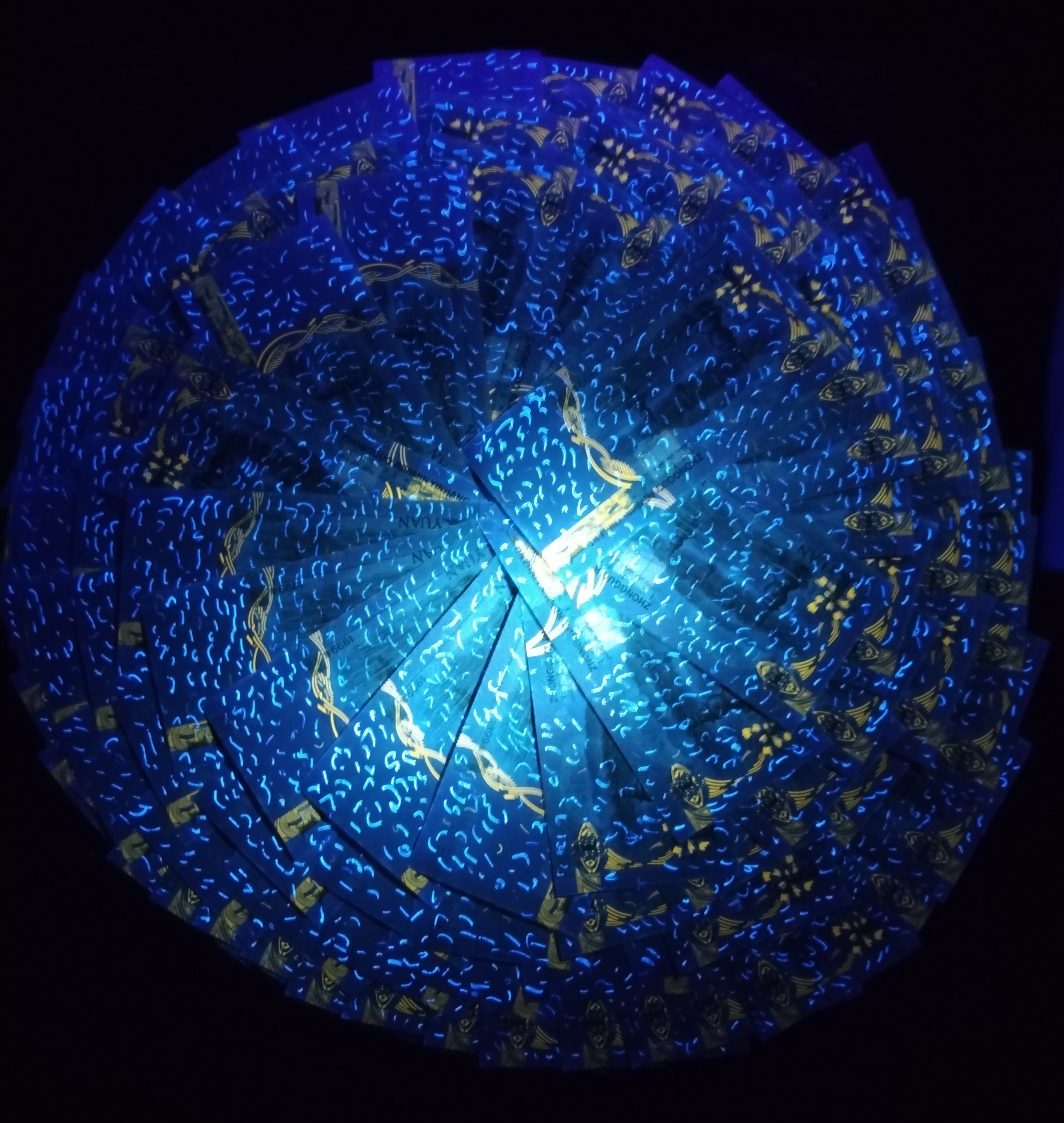 超级热门品种,稀少流水冠号,红84头荧十数字旦黄金色荧光,双面超密丝