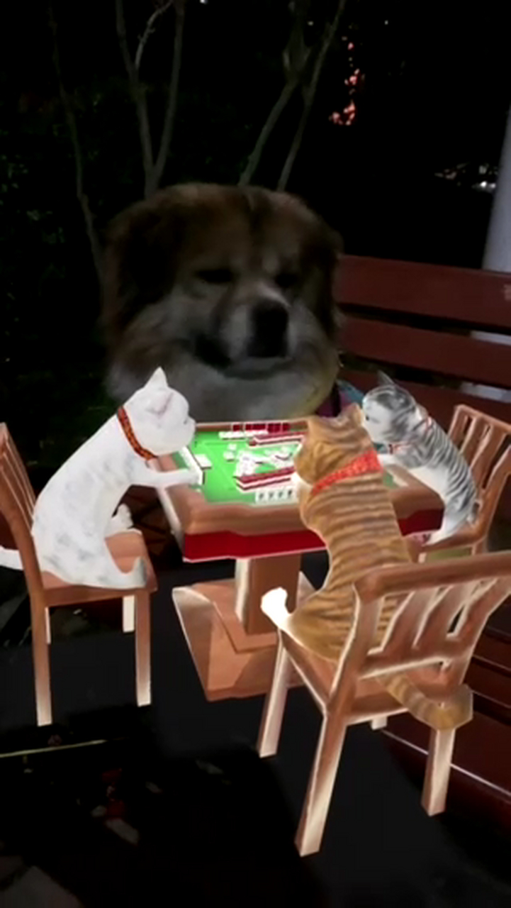 三个猫咪围一桌 打个麻将差一个 傻儿狗狗坐上来 我来参加算个数