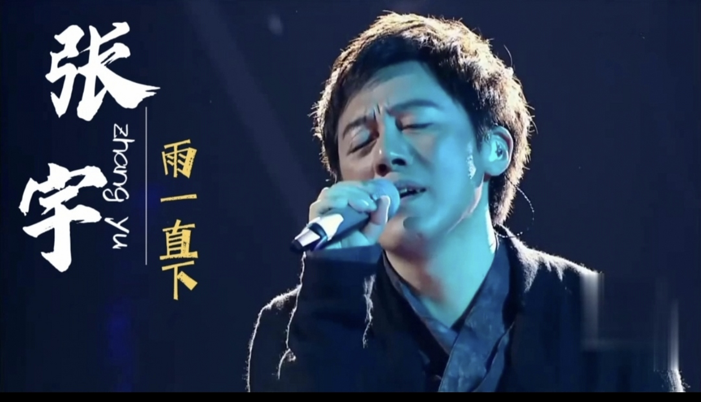 这首歌凭借其独特的创作风格和张宇那沙哑而深情的嗓音,深受广大乐迷