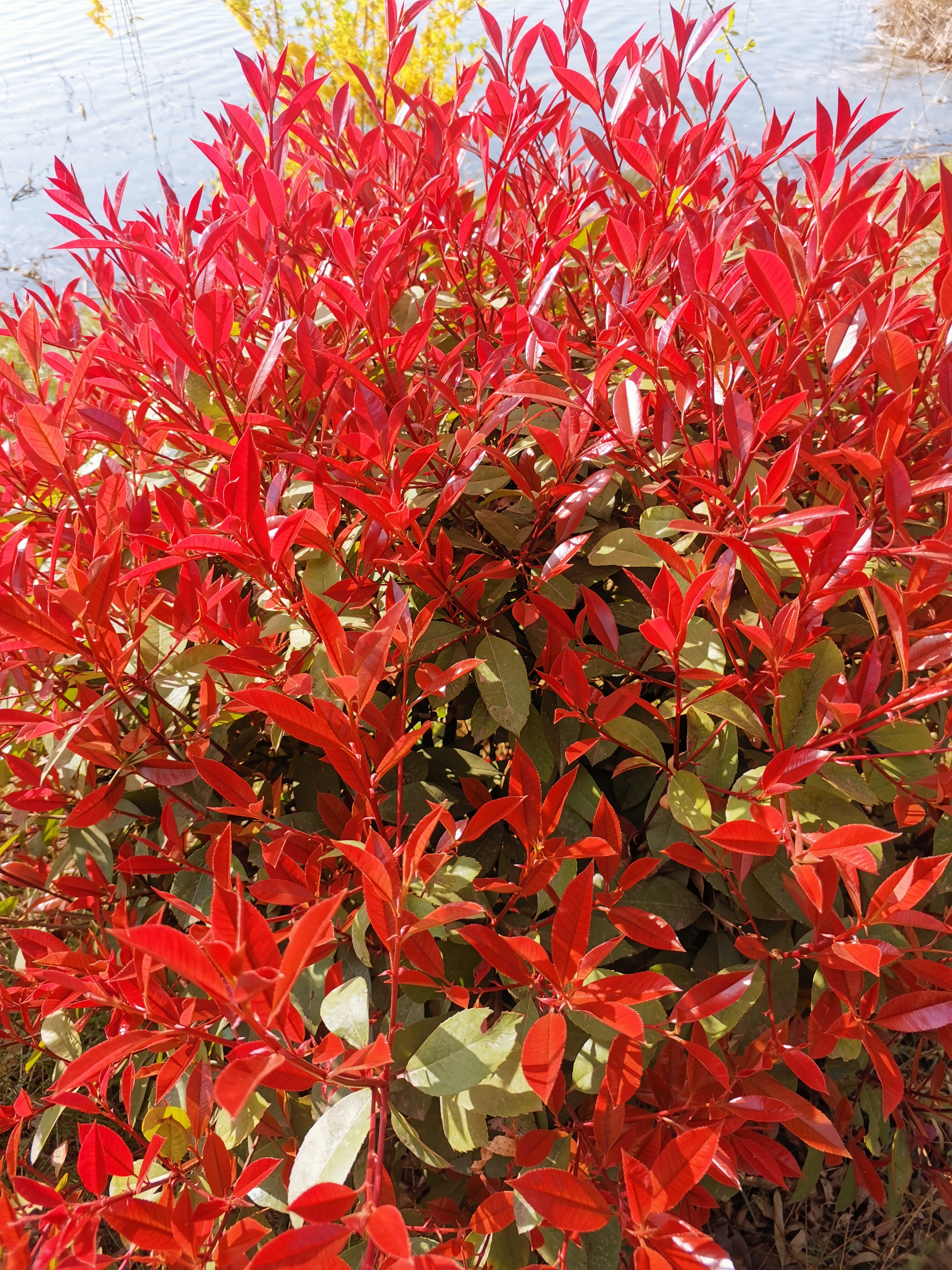 不用为了所谓的合群和面子让自己跟孩子受委屈.我就当面说了爱咋咋地