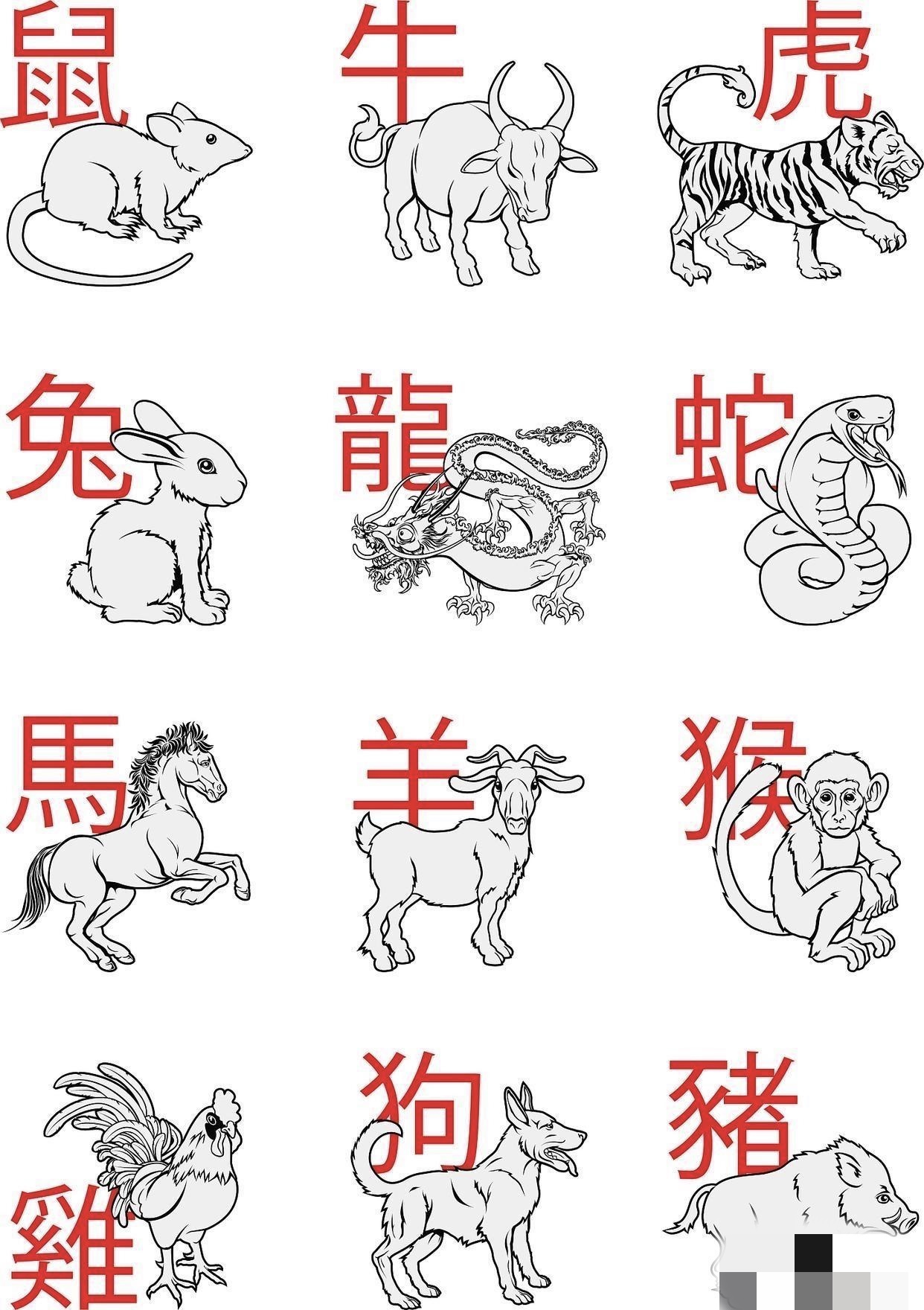 1代表什么生肖