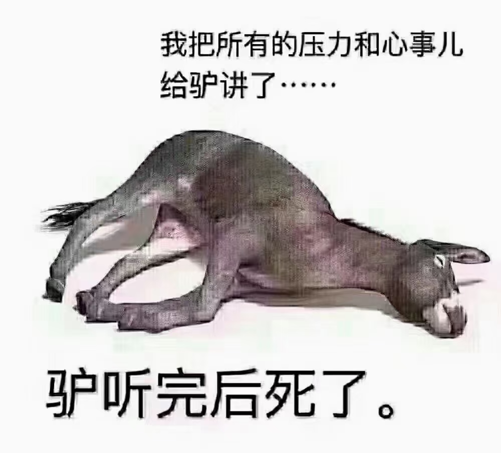 这头驴真会找地方偷懒,躺地上也这么销魂