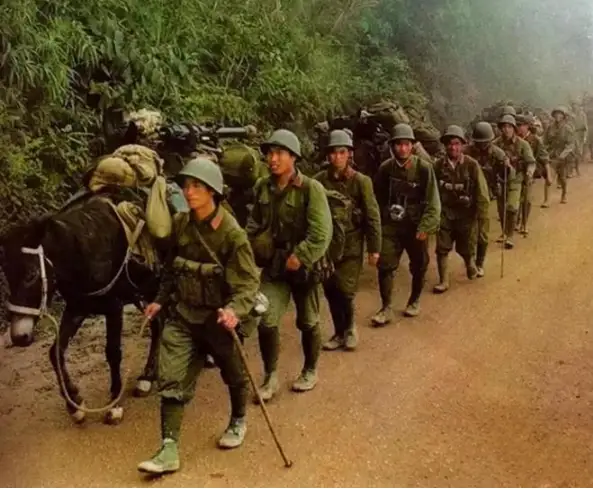 1979年,对越自卫还击战,连长冯增敏接到任务前去增援部队撤军,哪料3