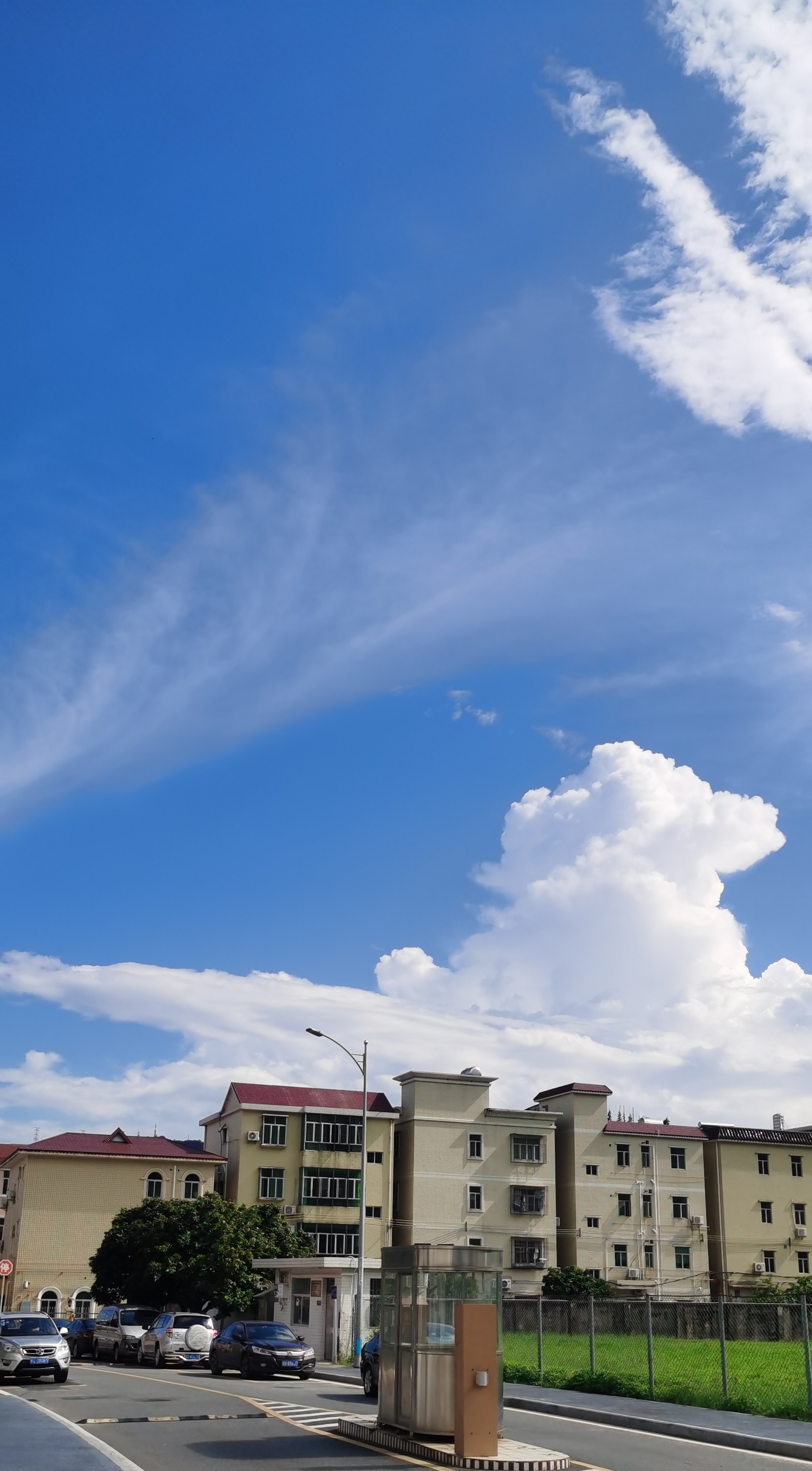 蓝天白云,晴空万里,阳光明媚,又是活力满满