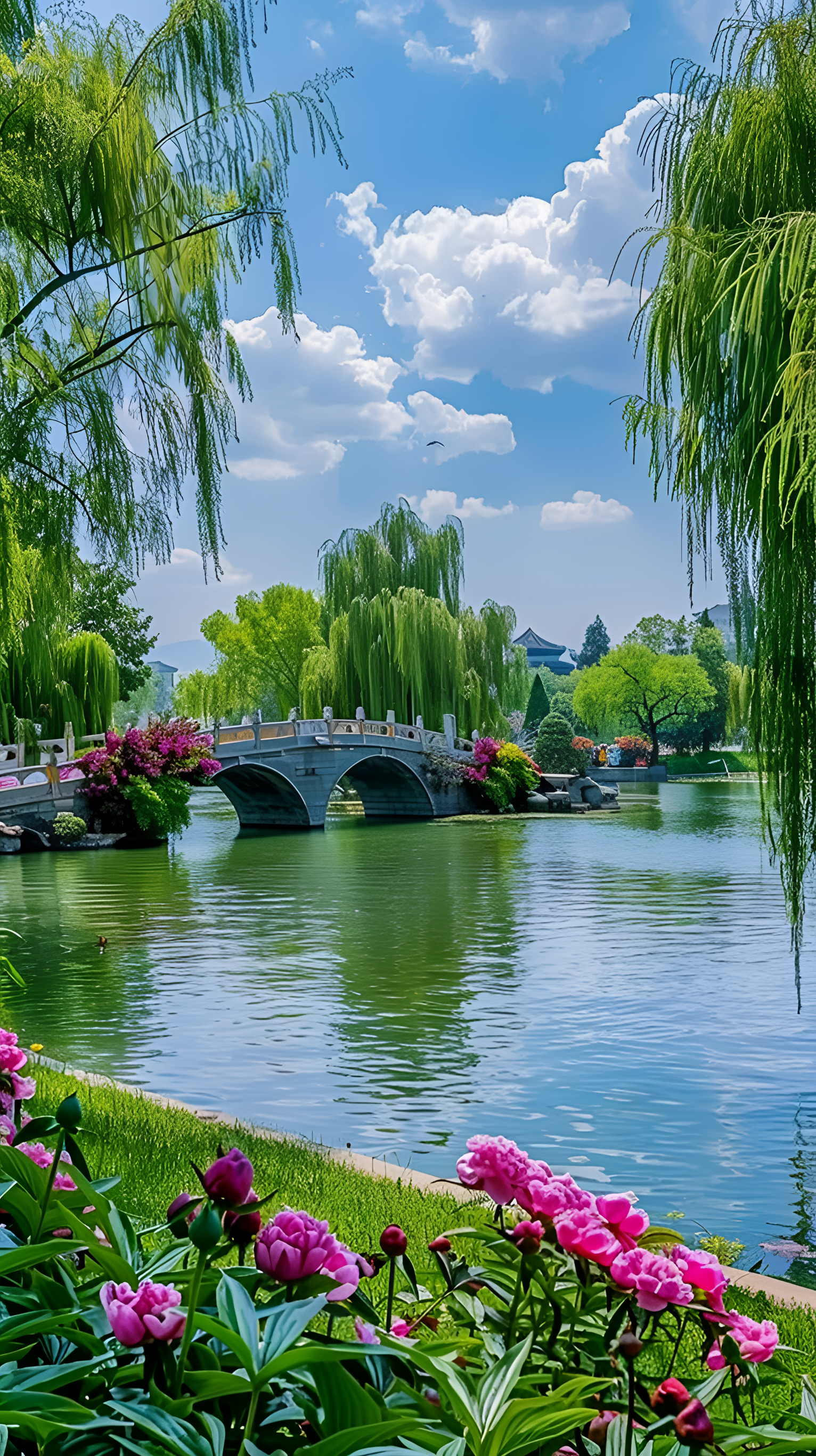 春天的图片 壁纸 风景图片