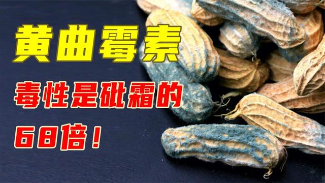 黄曲霉素主要存在于被污染的玉.@温大夫聊健康的动态