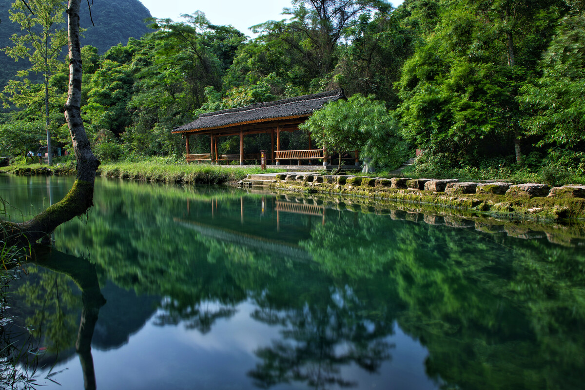 茂兰保护区坐落在贵州省荔波县,占地2万公顷,仿佛一片神秘的绿色