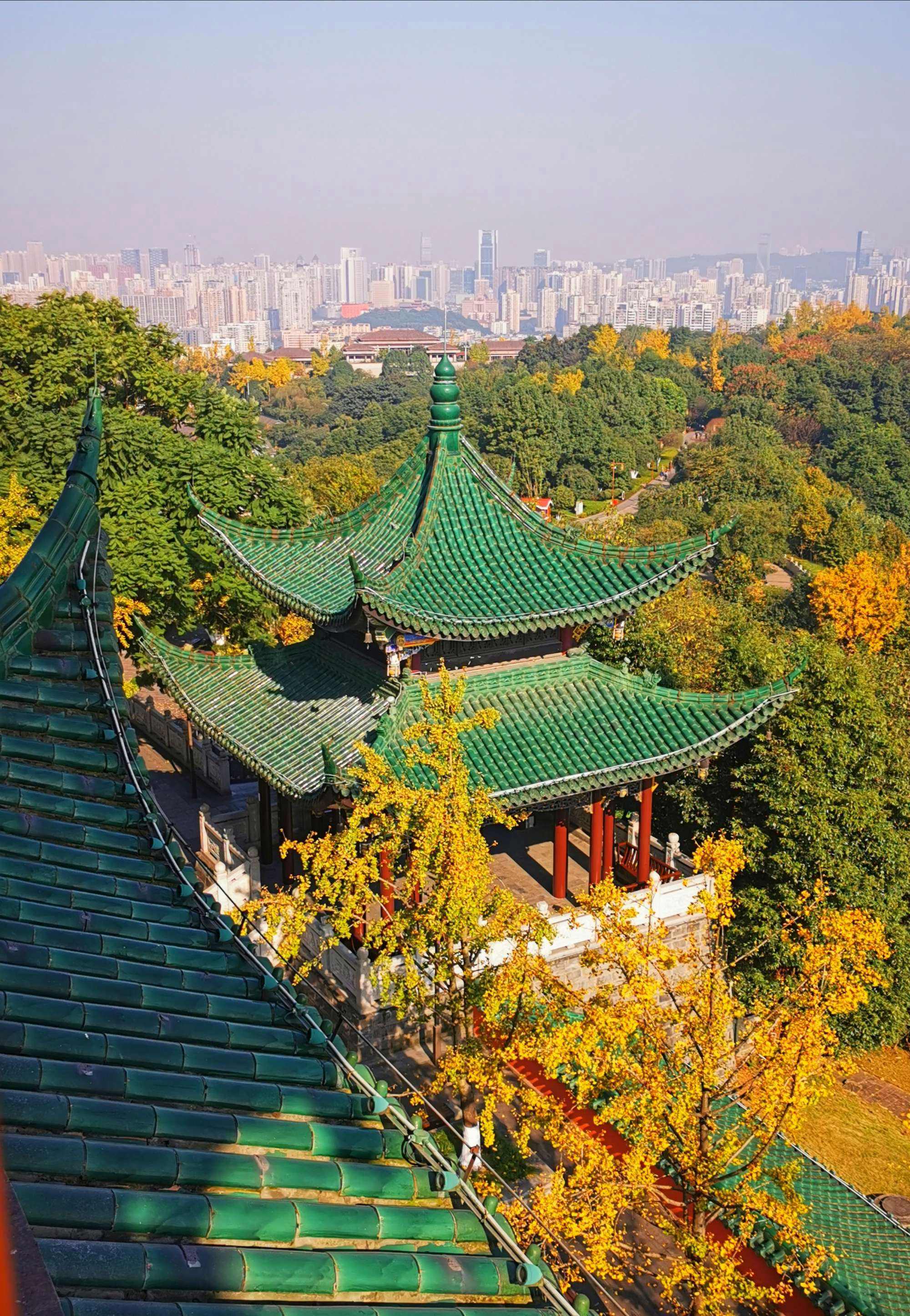 寺森林公园旅游攻略  简介:鸿恩寺森林公园,位于重庆市江北区鸿恩路