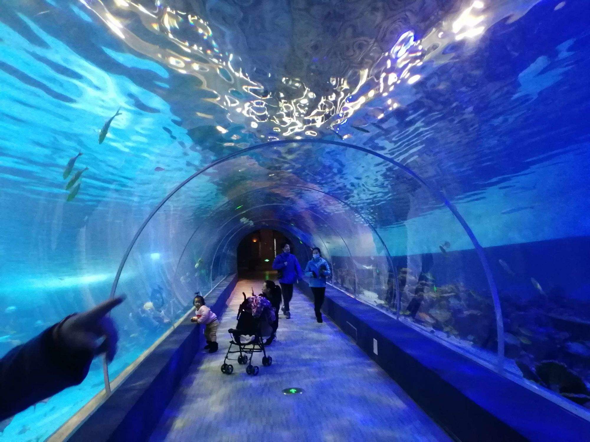 一场海洋的奇幻之旅  99目的地:重庆市巴南区嘉龙路133号,隐藏在