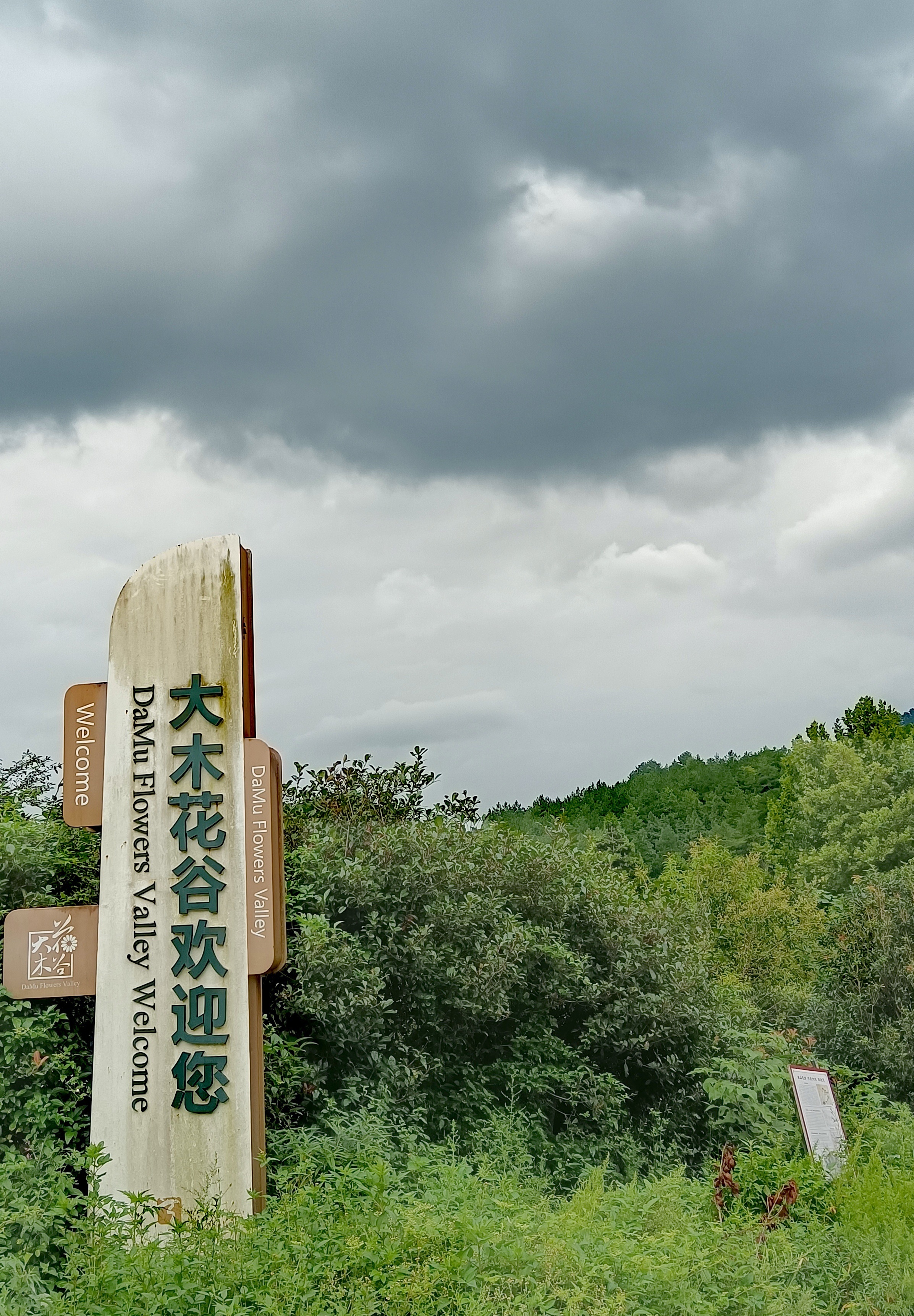 那我强烈推荐你们来重庆大木花谷景区