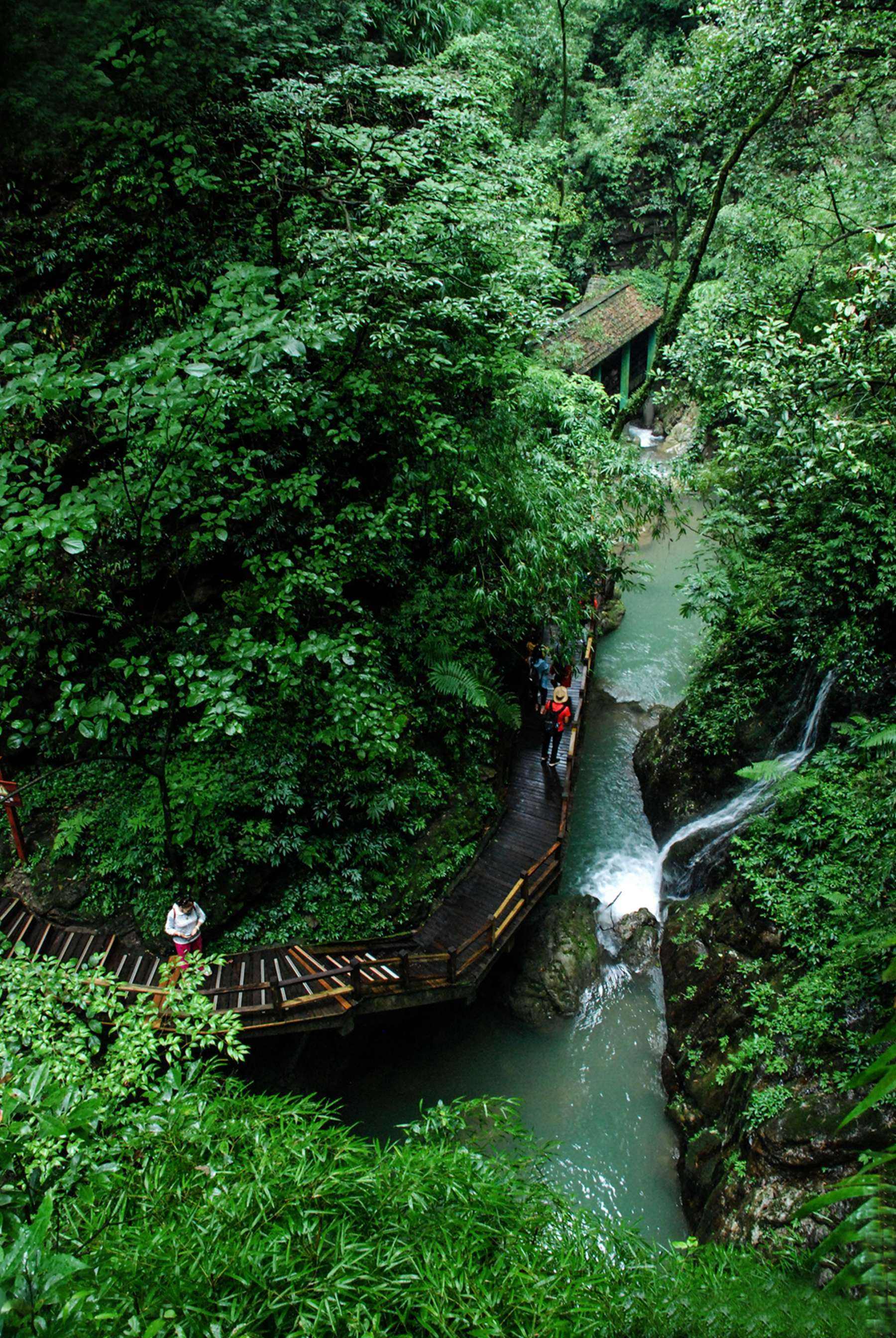 那就来黑山谷吧!