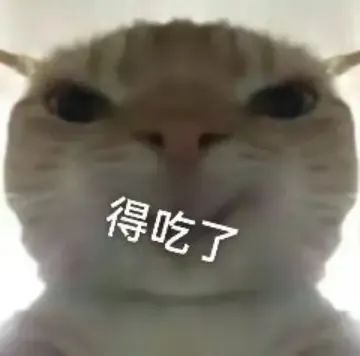 沙雕猫咪表情包 魔性图片