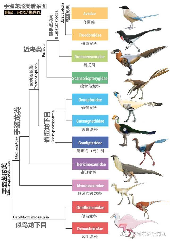 恐龙历史资料及图片图片