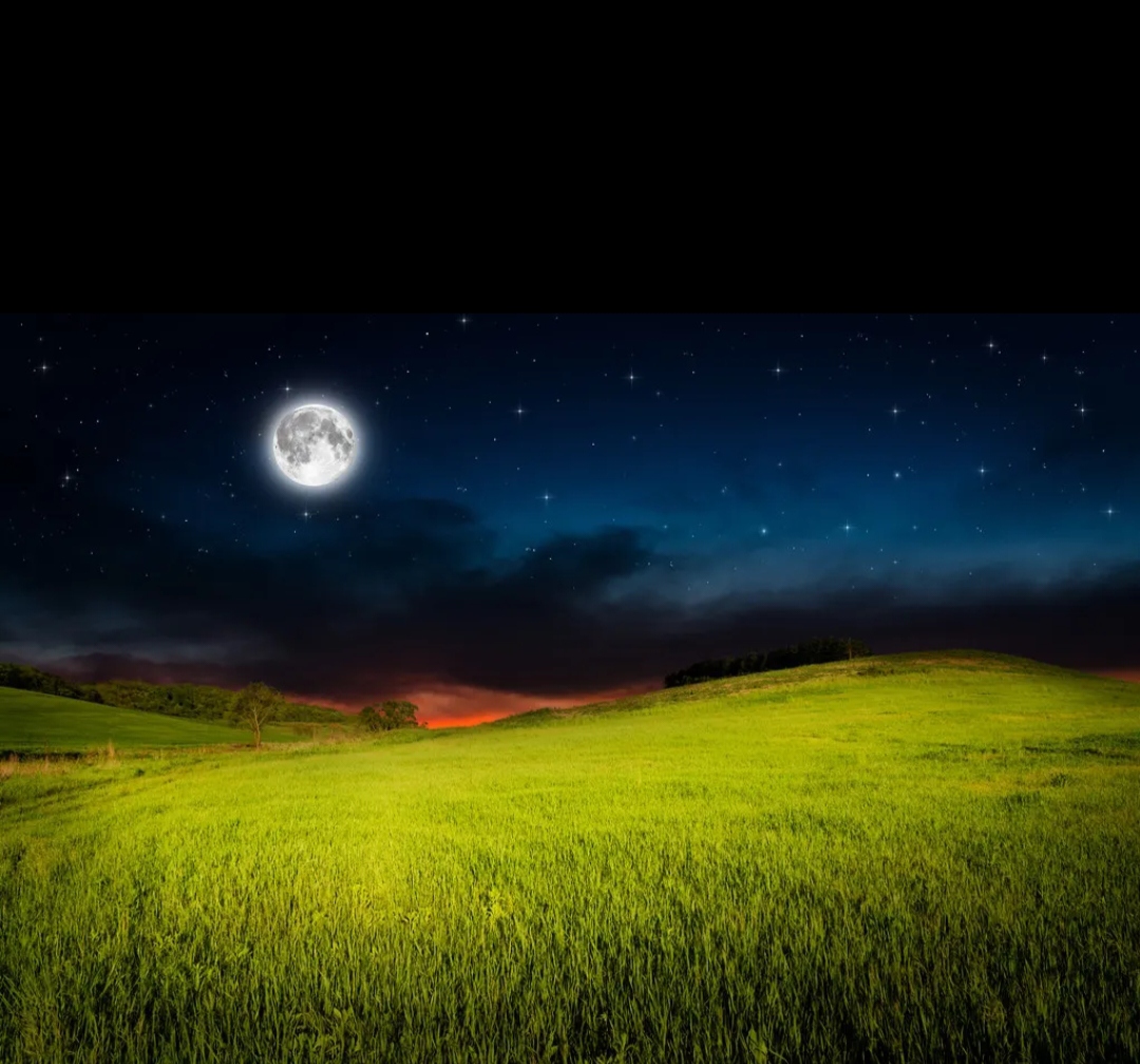 天上明月挂树梢(友出) 疑似黄昏春不老(我对)