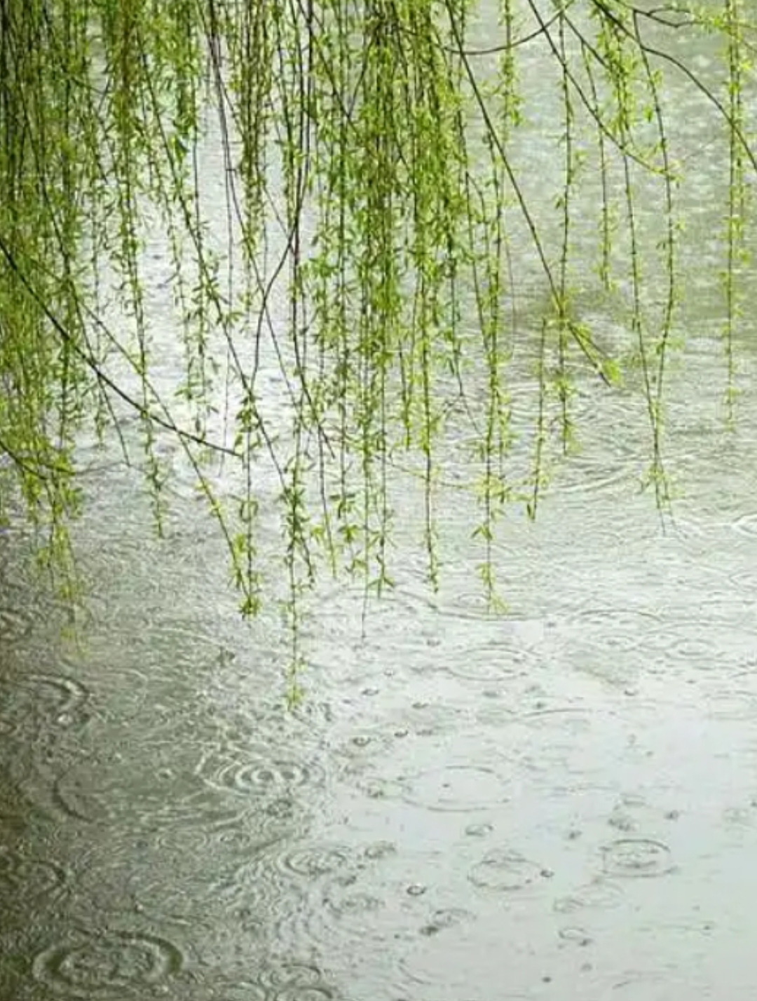 和风细雨图片一年级图片