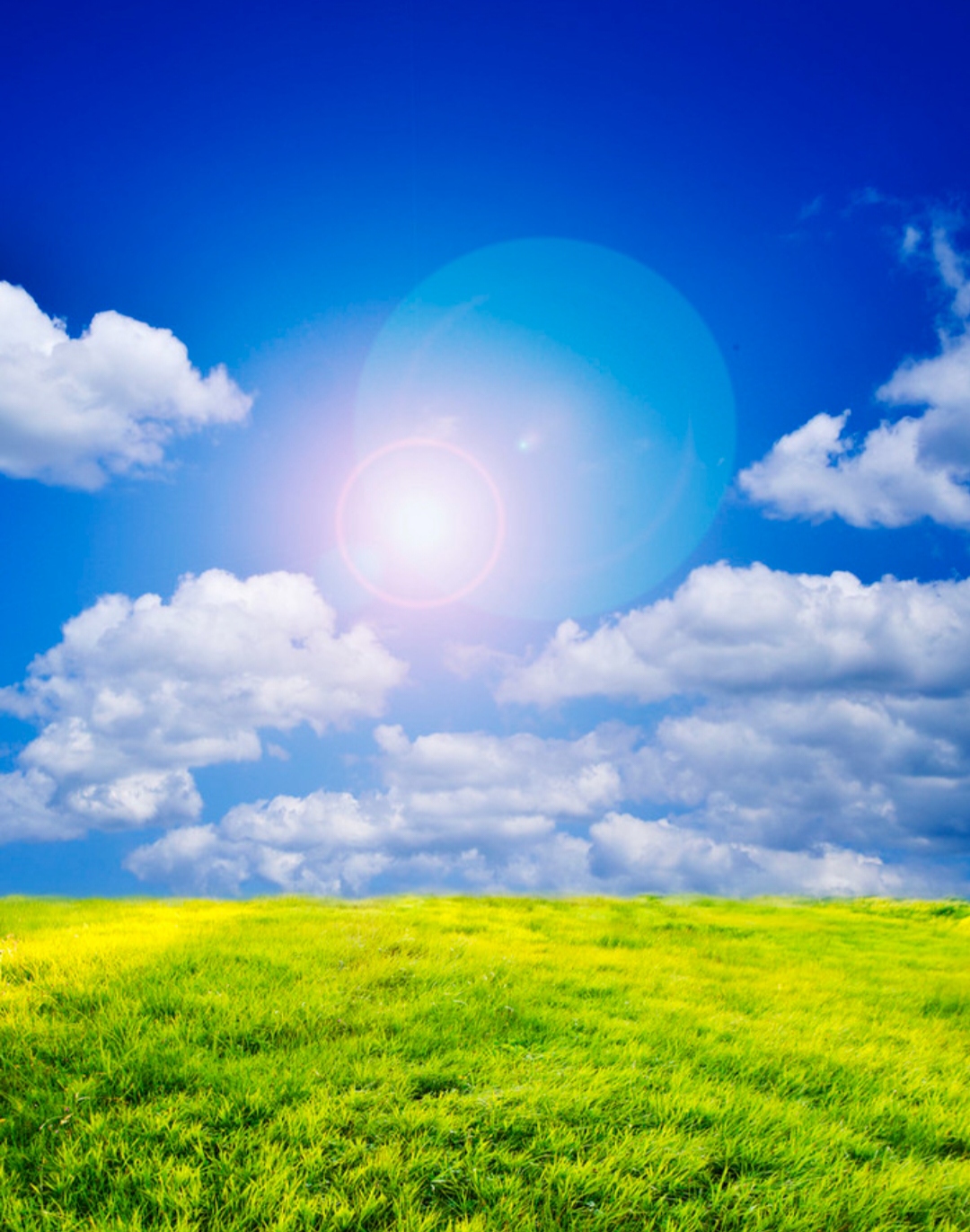 元气满满正气然 旦出雄鸡三更半 快马加鞭不下鞍 乐在灵魂相约挽