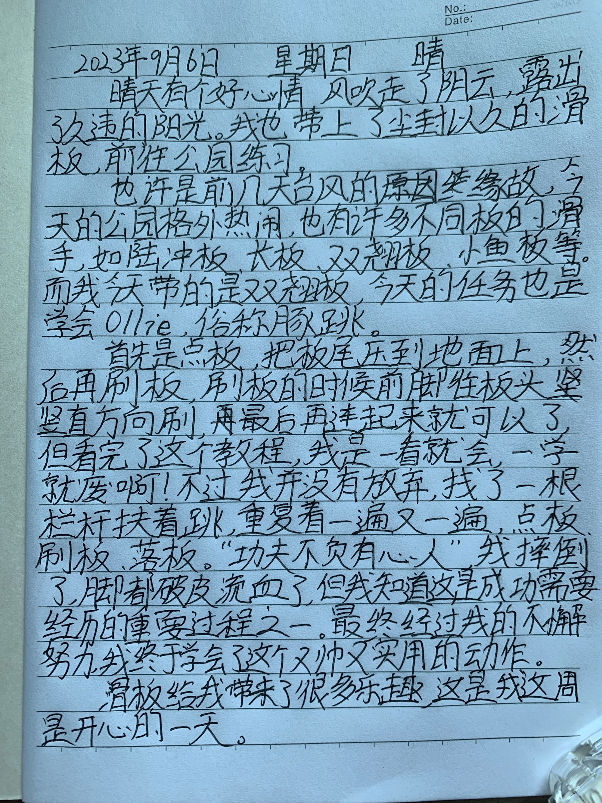 周记大全三百字图片