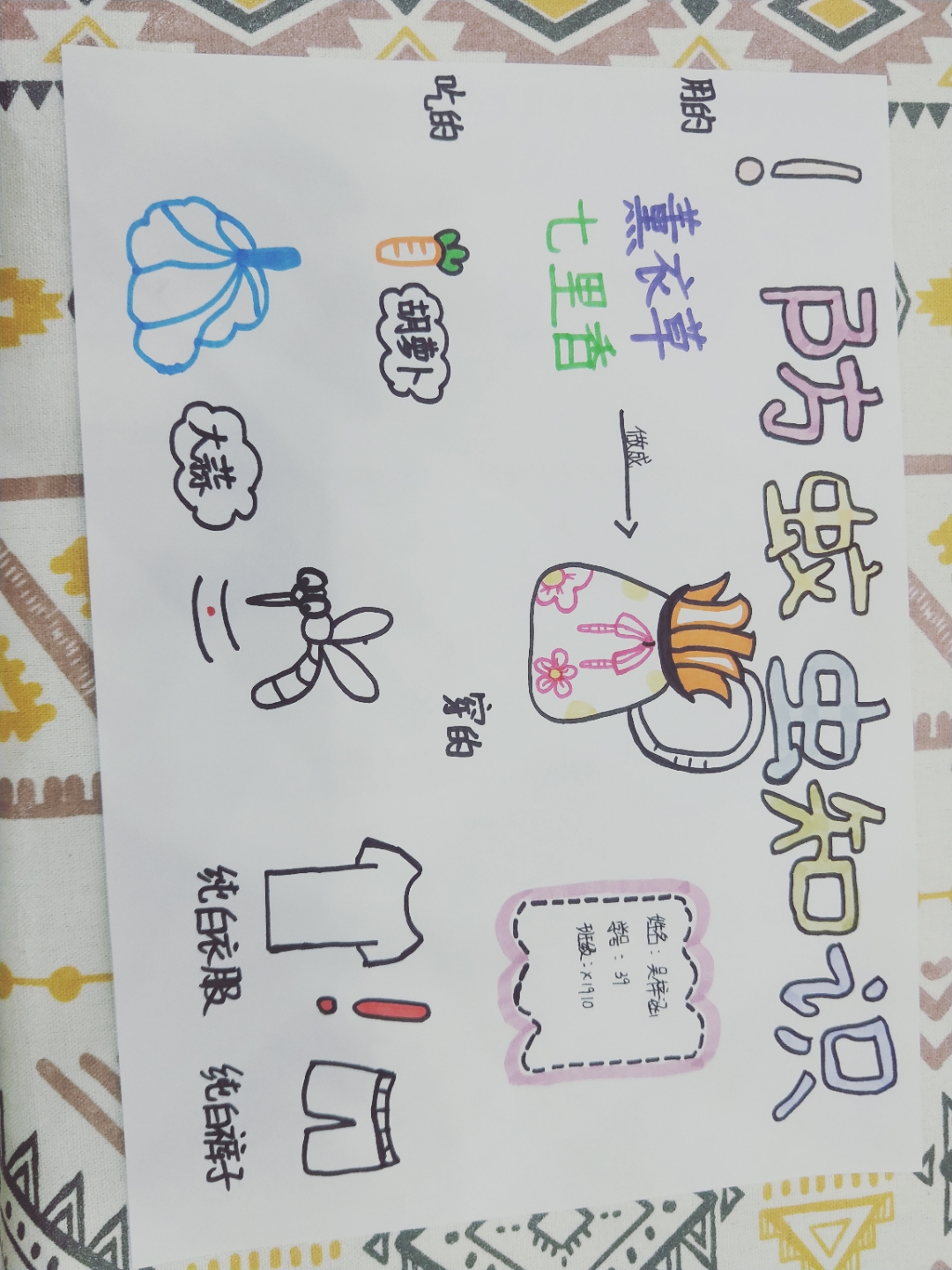 防蚊虫知识手抄报99