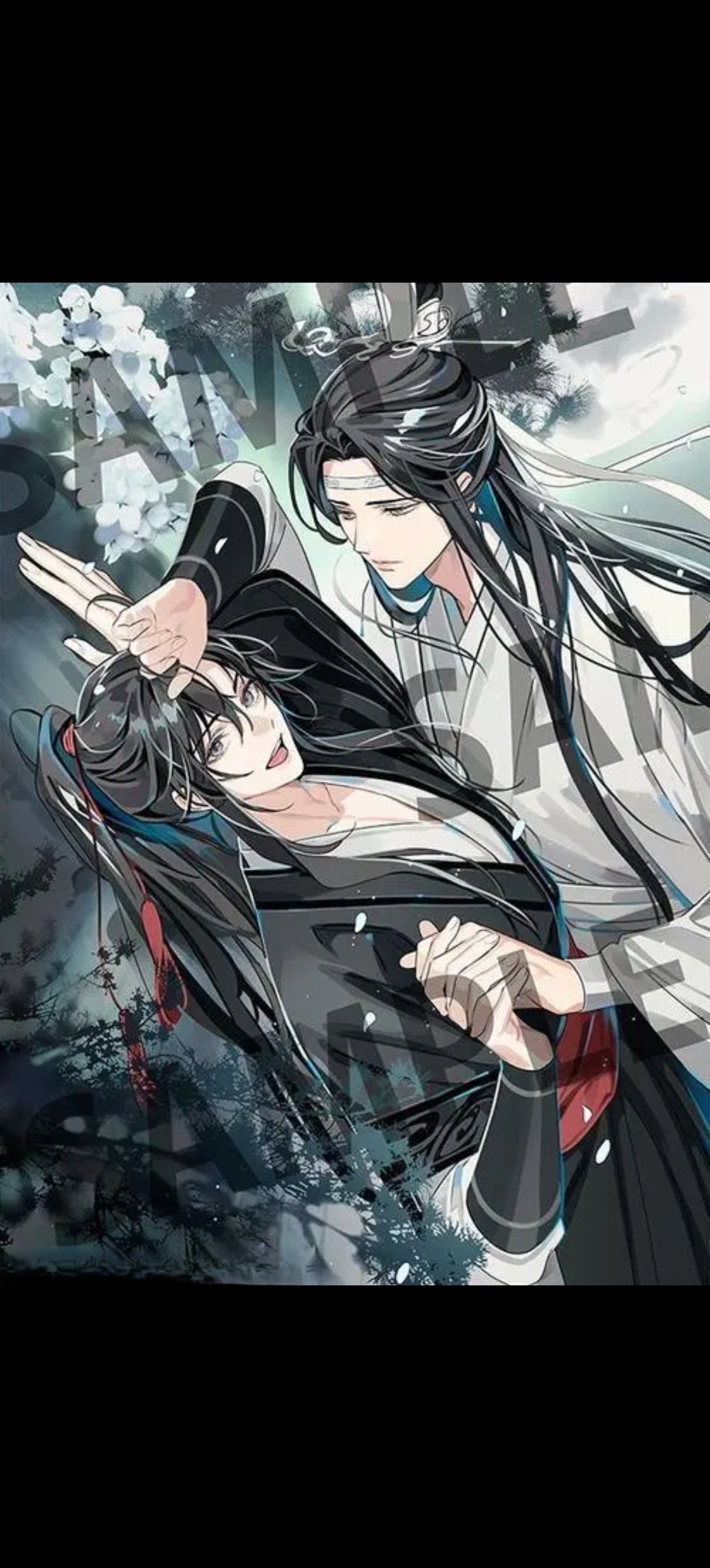 魔道祖师#忘羡