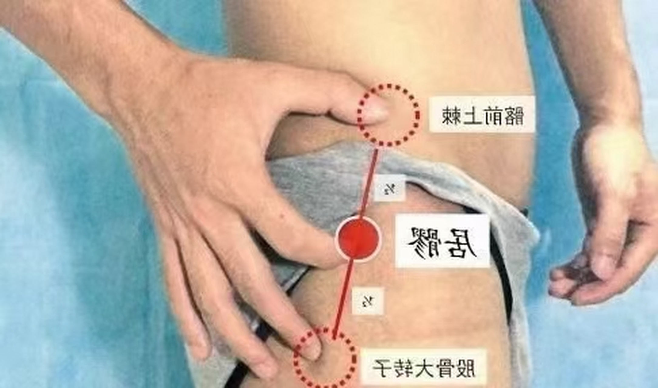 居髎 位于人体髋部,当髂前上棘与股骨大转子最凸点连线的中点处.
