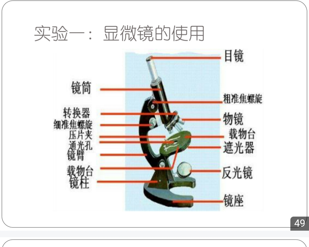 显微镜物镜原理图片