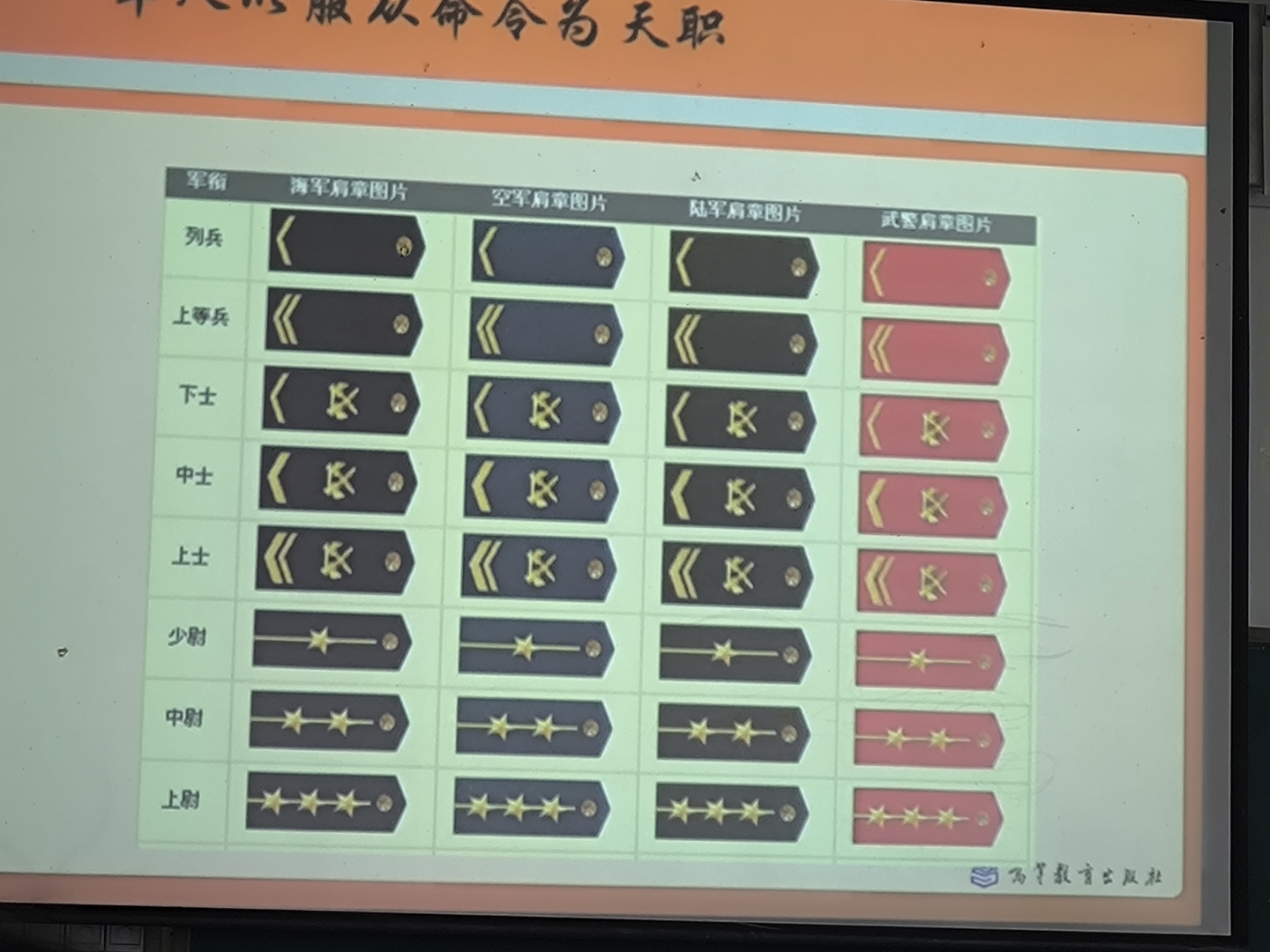 有谁和我一样第一次看到比较完全的军衔臂章
