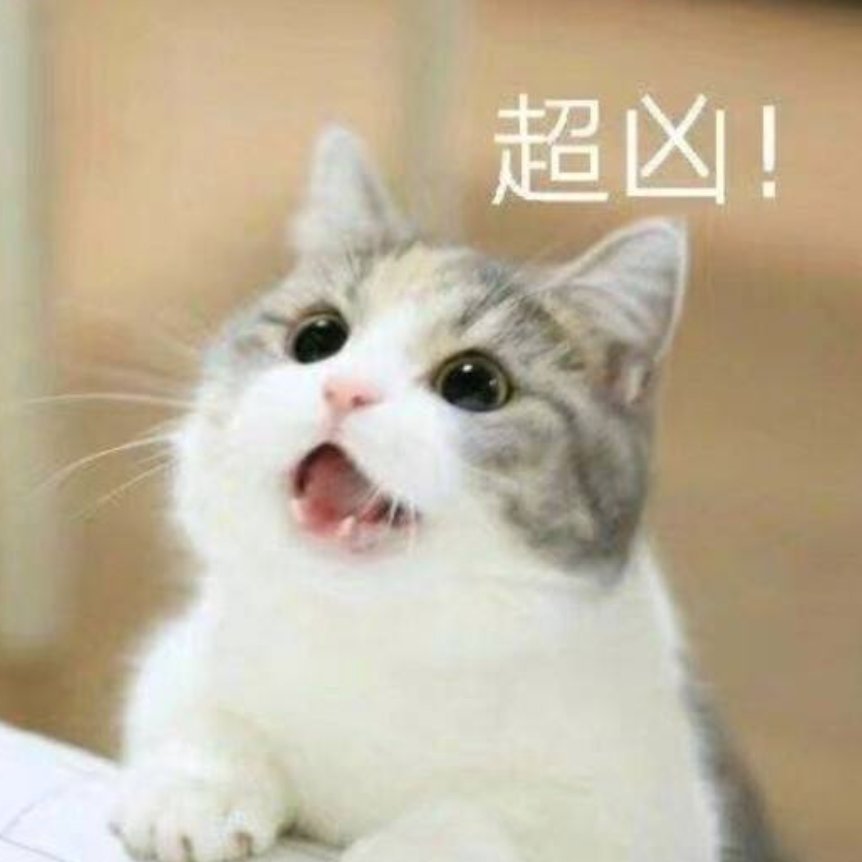 这只猫的表情包真是太逗了,笑得我合不拢嘴!