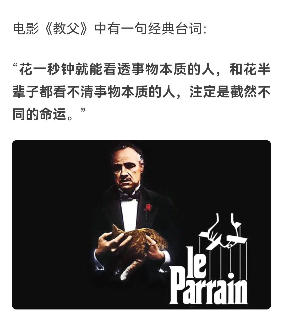 职场人普通和优秀区别,能否透过现象看本质