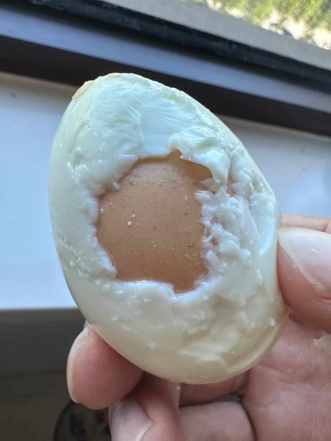 自己家养的鸡下的蛋,这鸡蛋怎么这么奇怪 蛋清里不是蛋黄,而是有个带