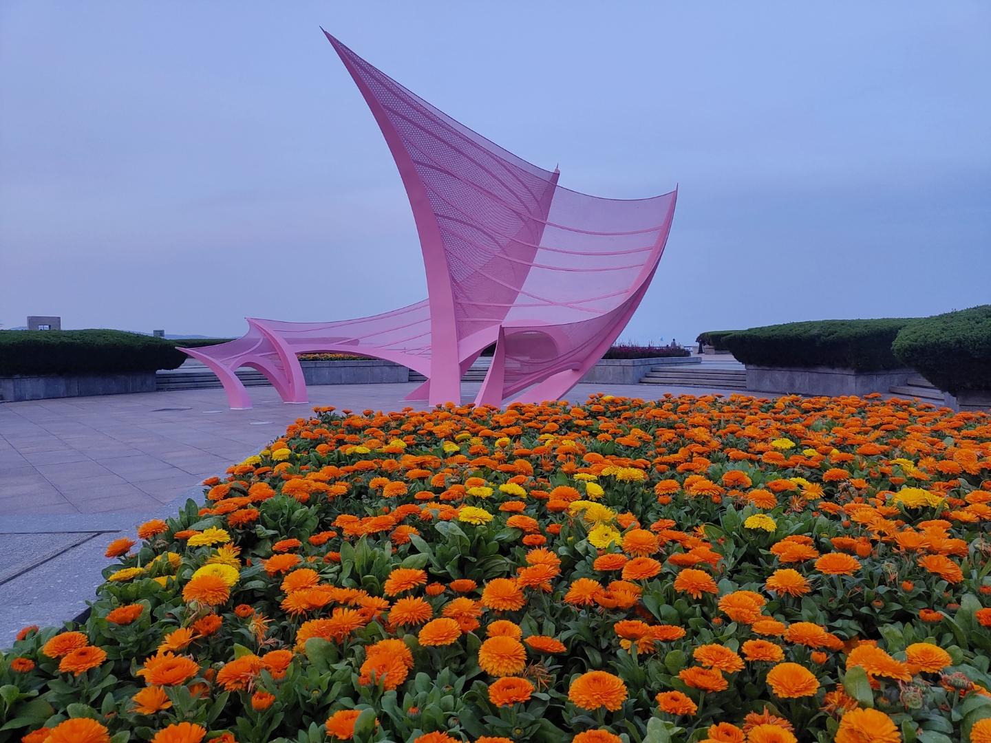 这些年,我对侄子侄女的疼爱几乎掏心掏肺