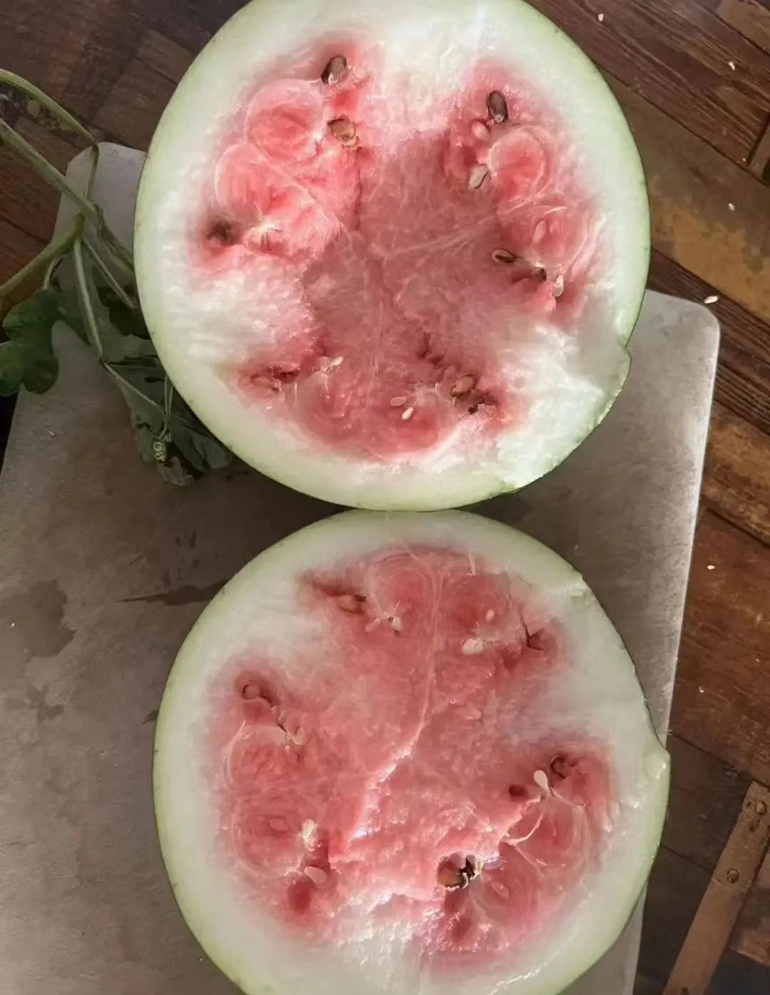 左挑右拣,回家一切结果这样,捡回来一个生西瓜,我是不是该去西瓜摊找