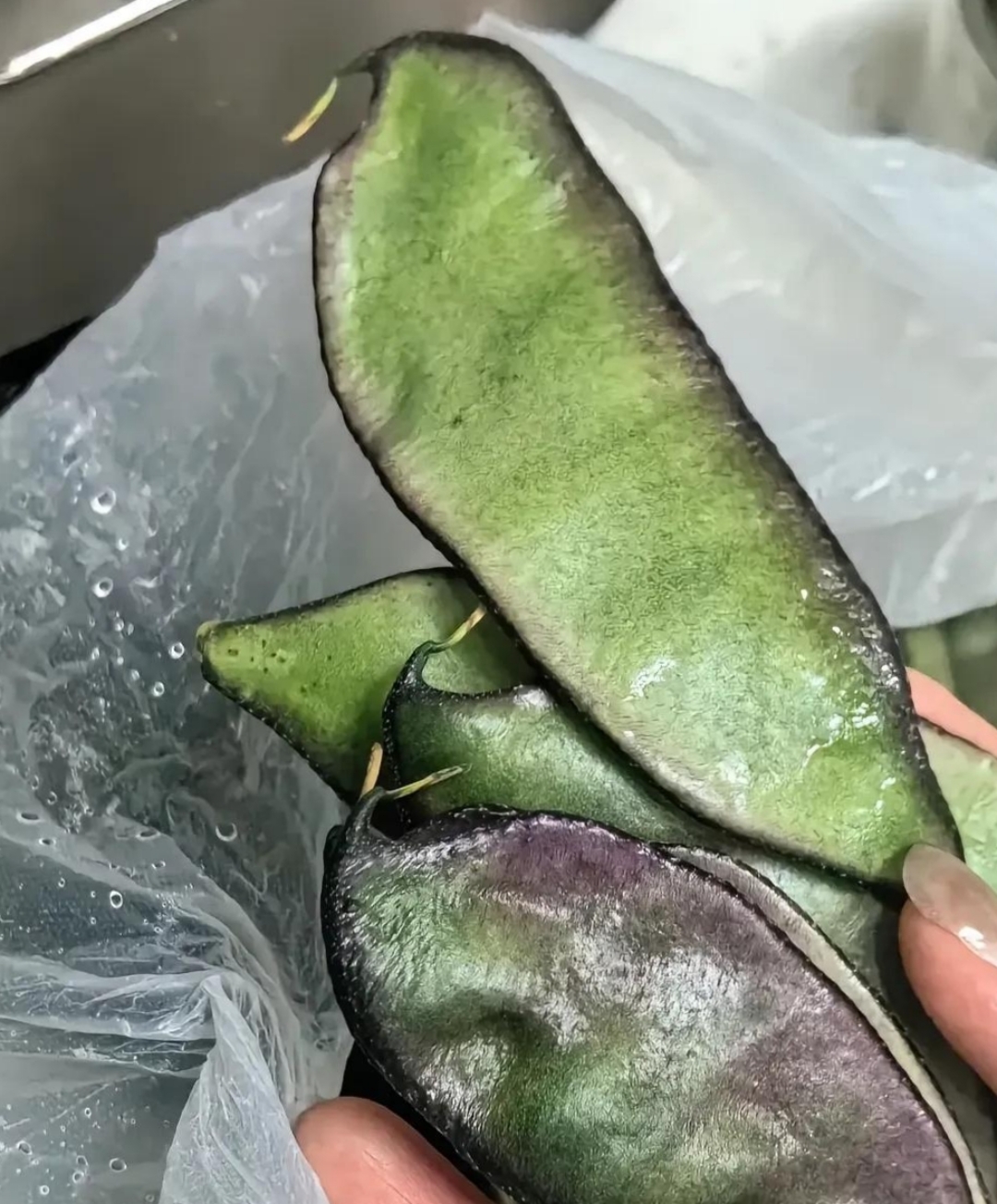 眉豆形状扁扁的,有绿色的还有紫色的色,无论是清炒还是炖煮,都能散发